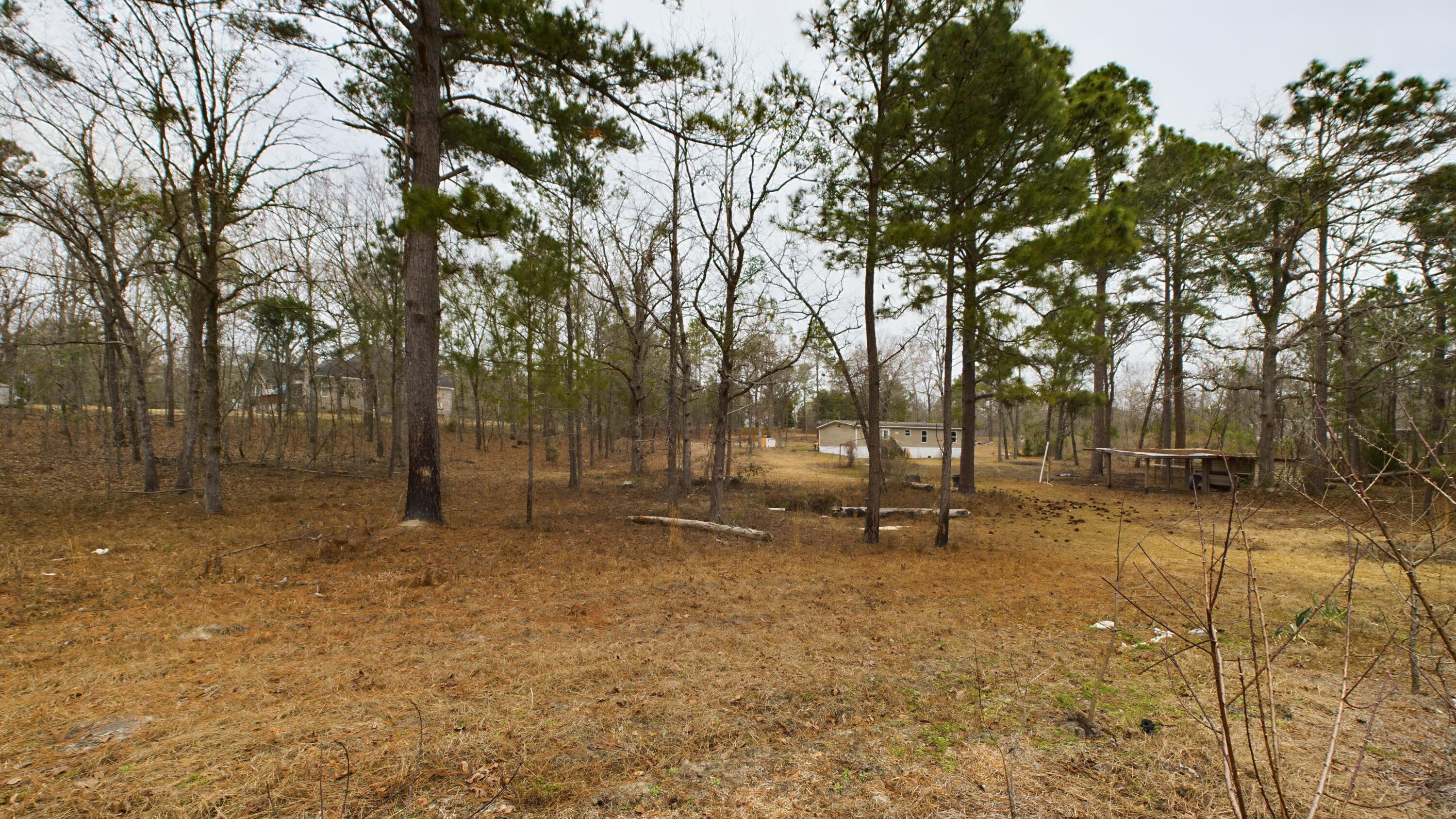 433 Bounty Road Eutawville, SC 29048 - Photo 19 of 20 Mostly Cleared Lot