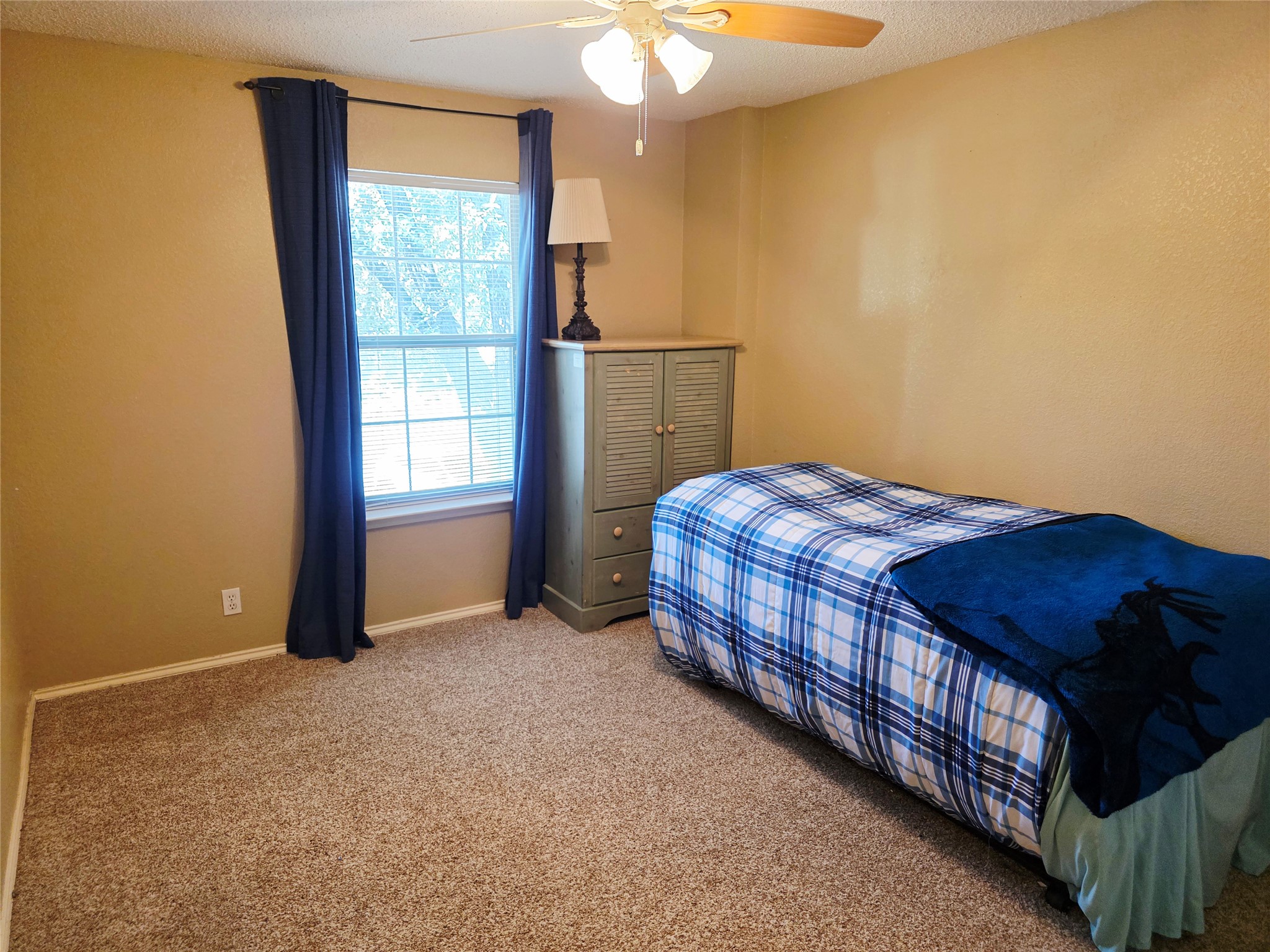 16303 Ascent Cove Pflugerville, TX 78660 - Photo 13 of 26 Secondary bedroom