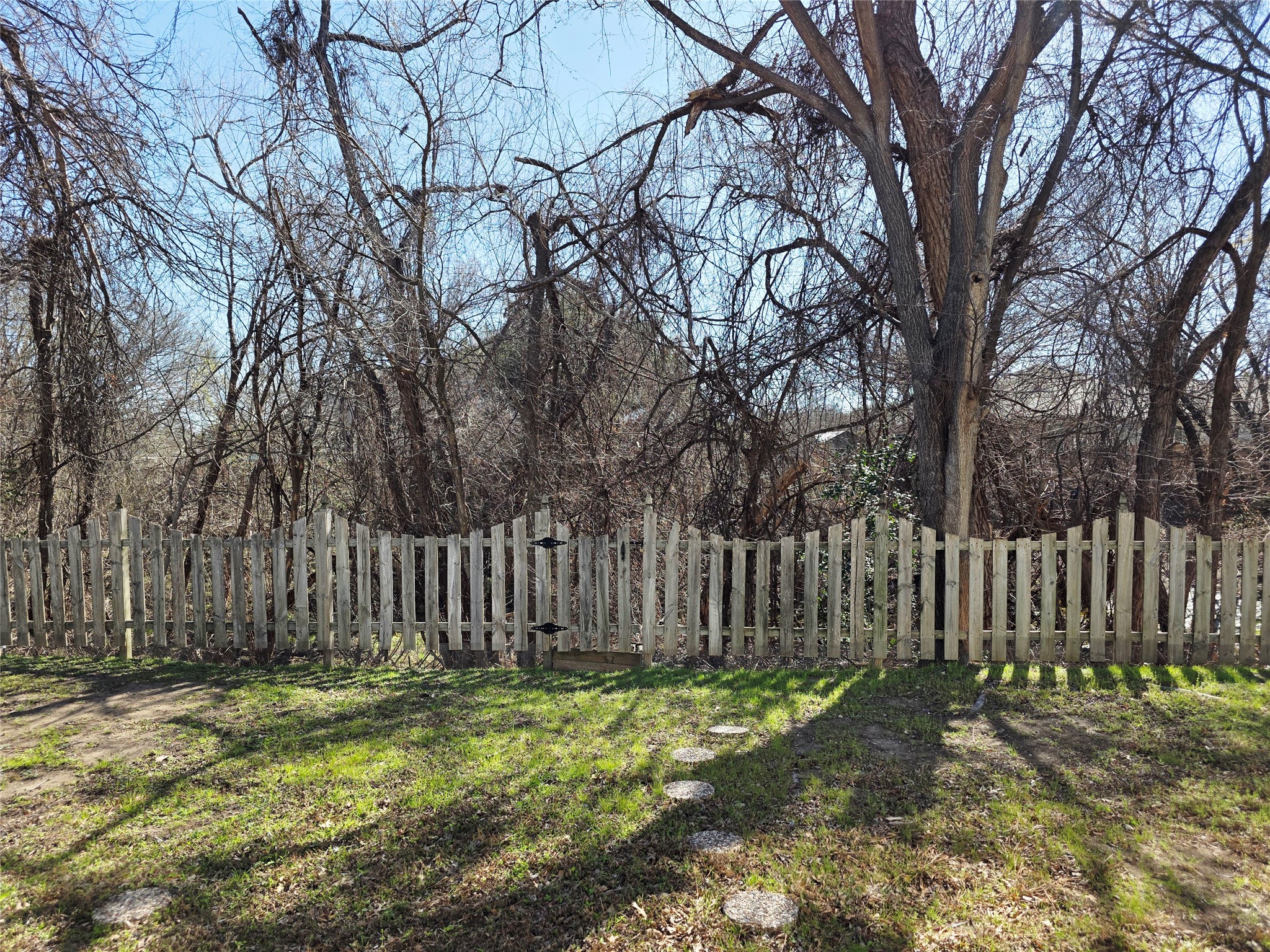 16303 Ascent Cove Pflugerville, TX 78660 - Photo 22 of 26 Backyard