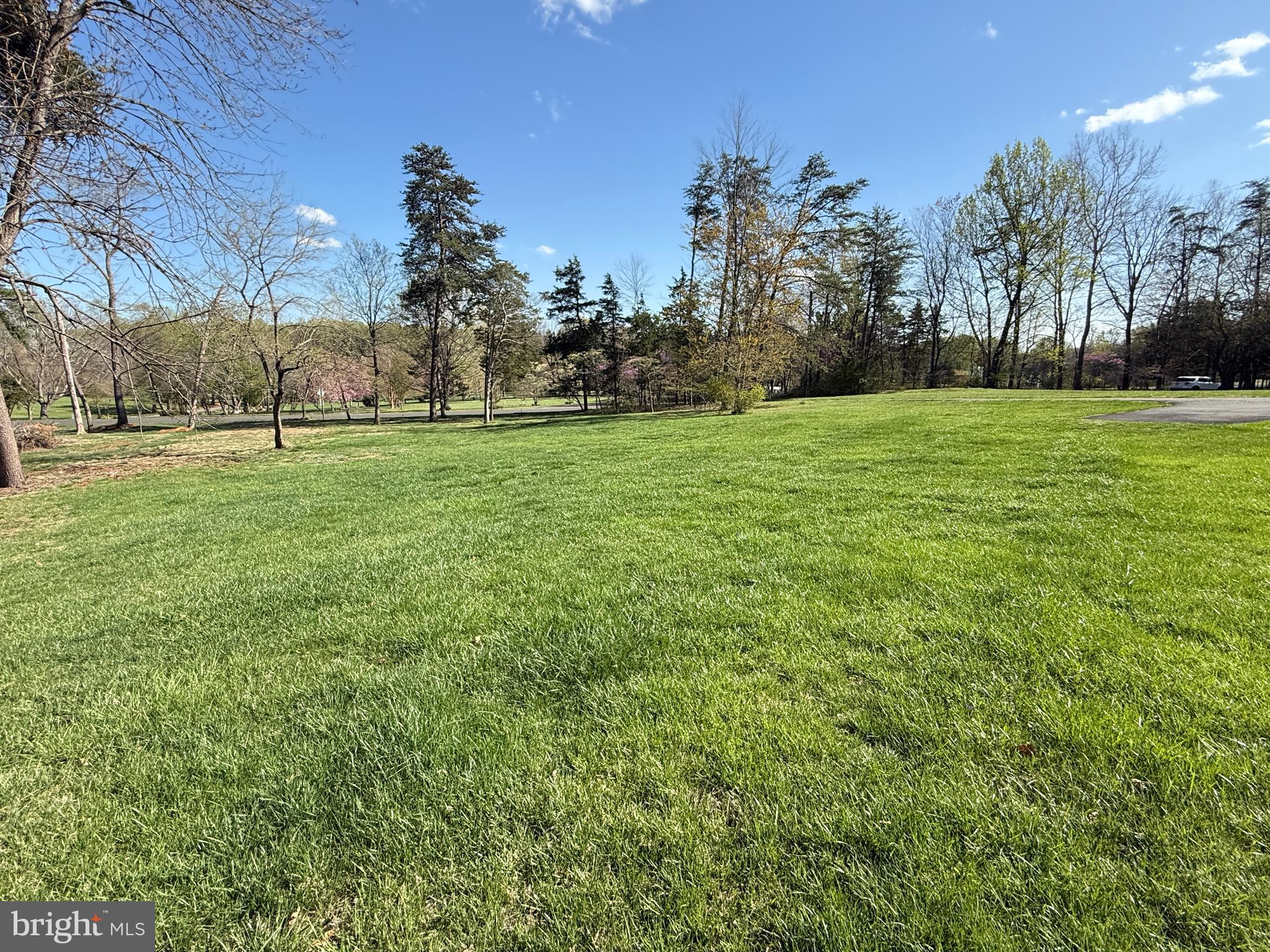 5572 Old Bust Head Road Broad Run, VA 20137 - Photo 10 of 30 a view of a field of grass and trees