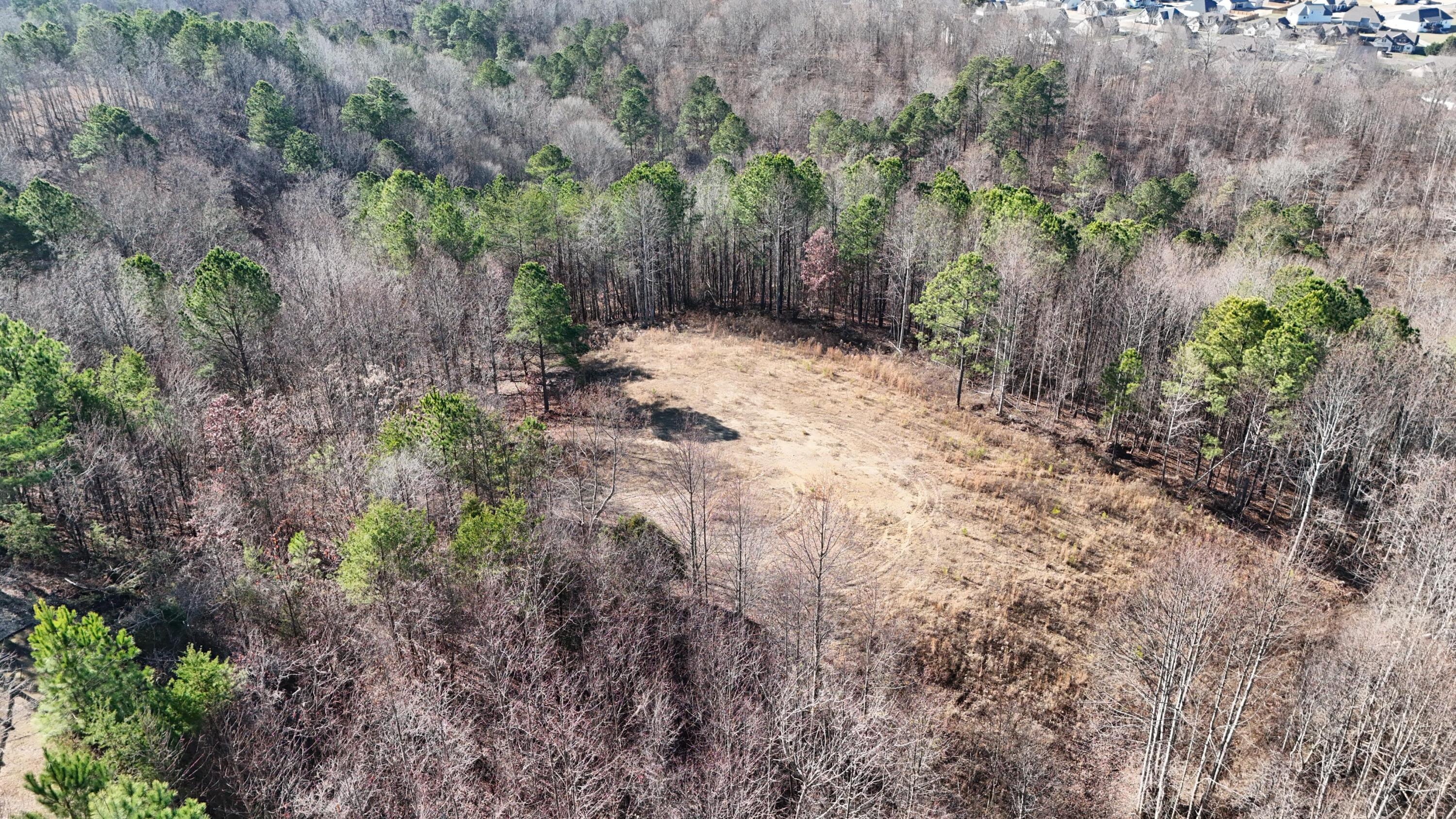 0 Walker Brow Ridge Road Northwest Cleveland, TN 37312 - Photo 16 of 45 DJI_20260105134857_0042_D