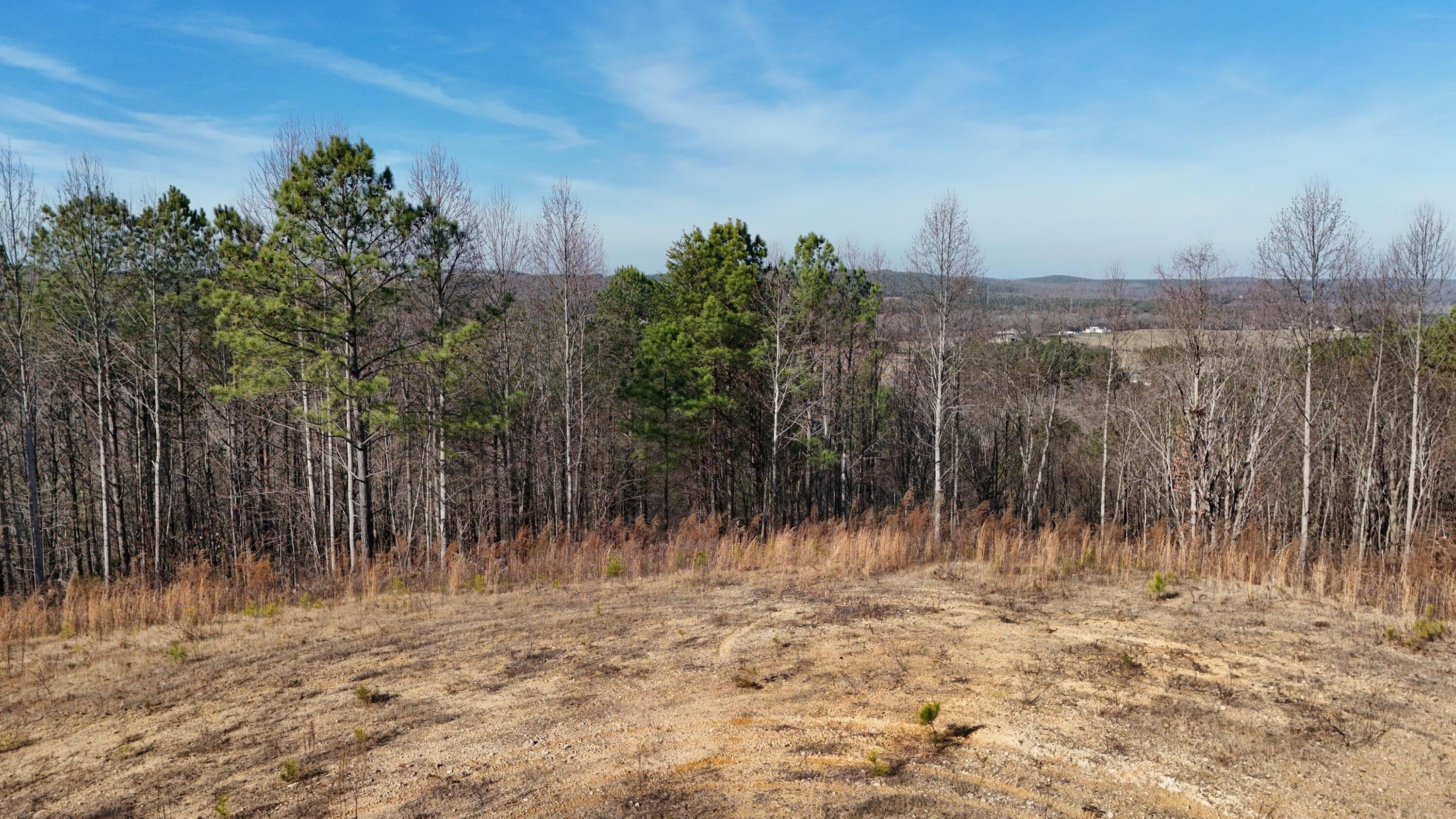 0 Walker Brow Ridge Road Northwest Cleveland, TN 37312 - Photo 26 of 45 DJI_20260105135541_0055_D