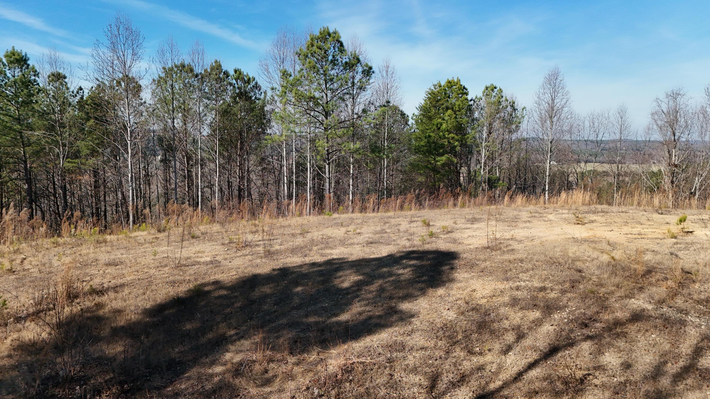 0 Walker Brow Ridge Road Northwest Cleveland, TN 37312 - Photo 29 of 45 DJI_20260105135811_0061_D