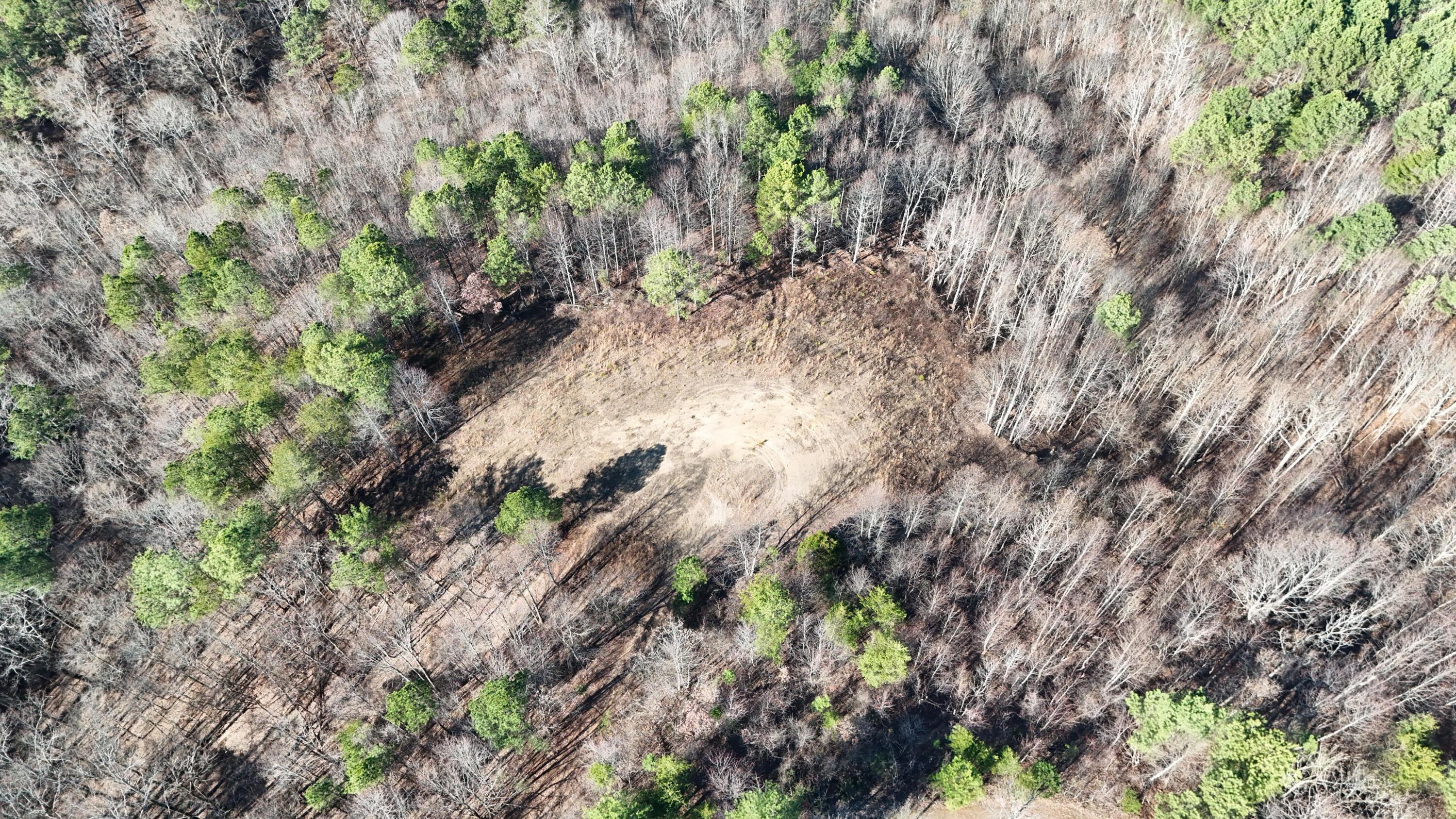 0 Walker Brow Ridge Road Northwest Cleveland, TN 37312 - Photo 4 of 45 DJI_20260105132850_0010_D