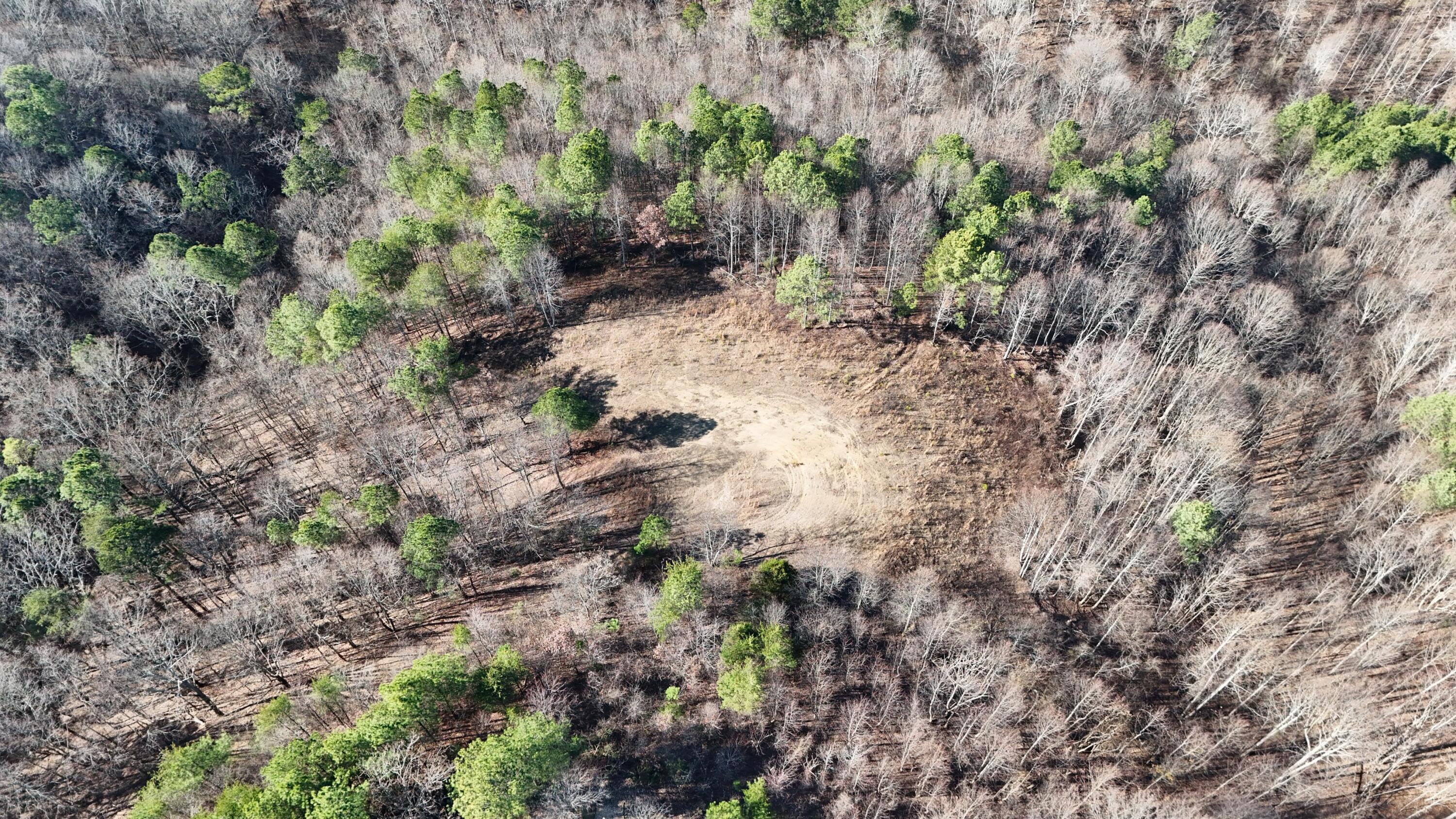 0 Walker Brow Ridge Road Northwest Cleveland, TN 37312 - Photo 5 of 45 DJI_20260105133006_0019_D