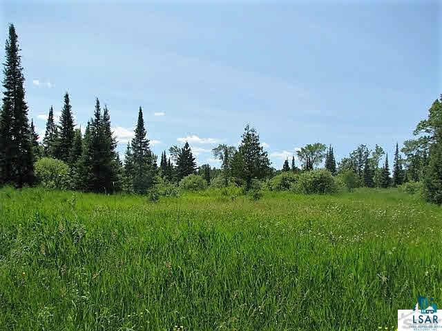 0 Hoover Line Road Iron River, WI 54847 - Photo 2 of 6