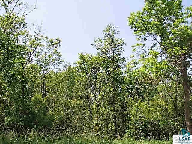 0 Hoover Line Road Iron River, WI 54847 - Photo 3 of 6