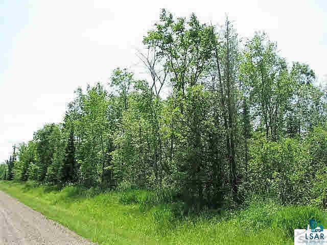 0 Hoover Line Road Iron River, WI 54847 - Photo 4 of 6