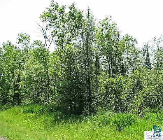 0 Hoover Line Road Iron River, WI 54847 - Photo 5 of 6
