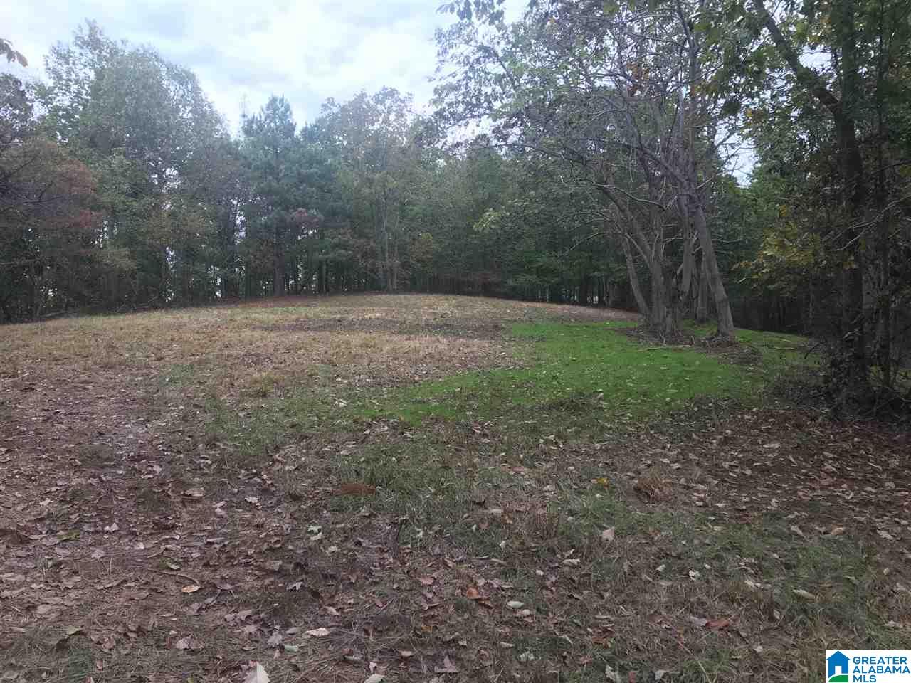 Fire Station Road, Unit 30 Ashland, AL 36251 - Photo 13 of 15
