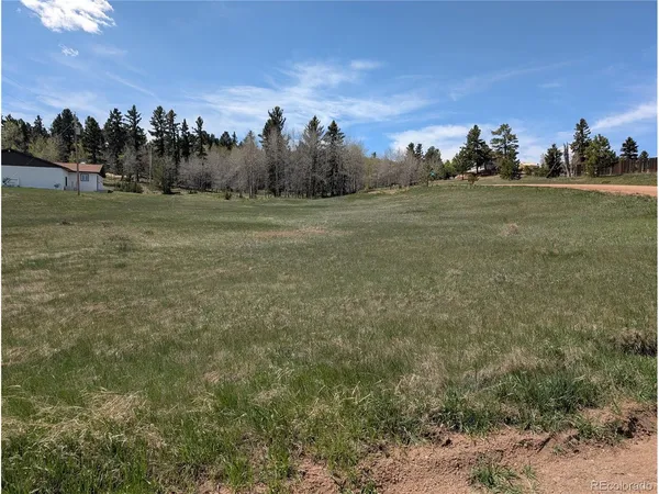 a view of a field with trees in background