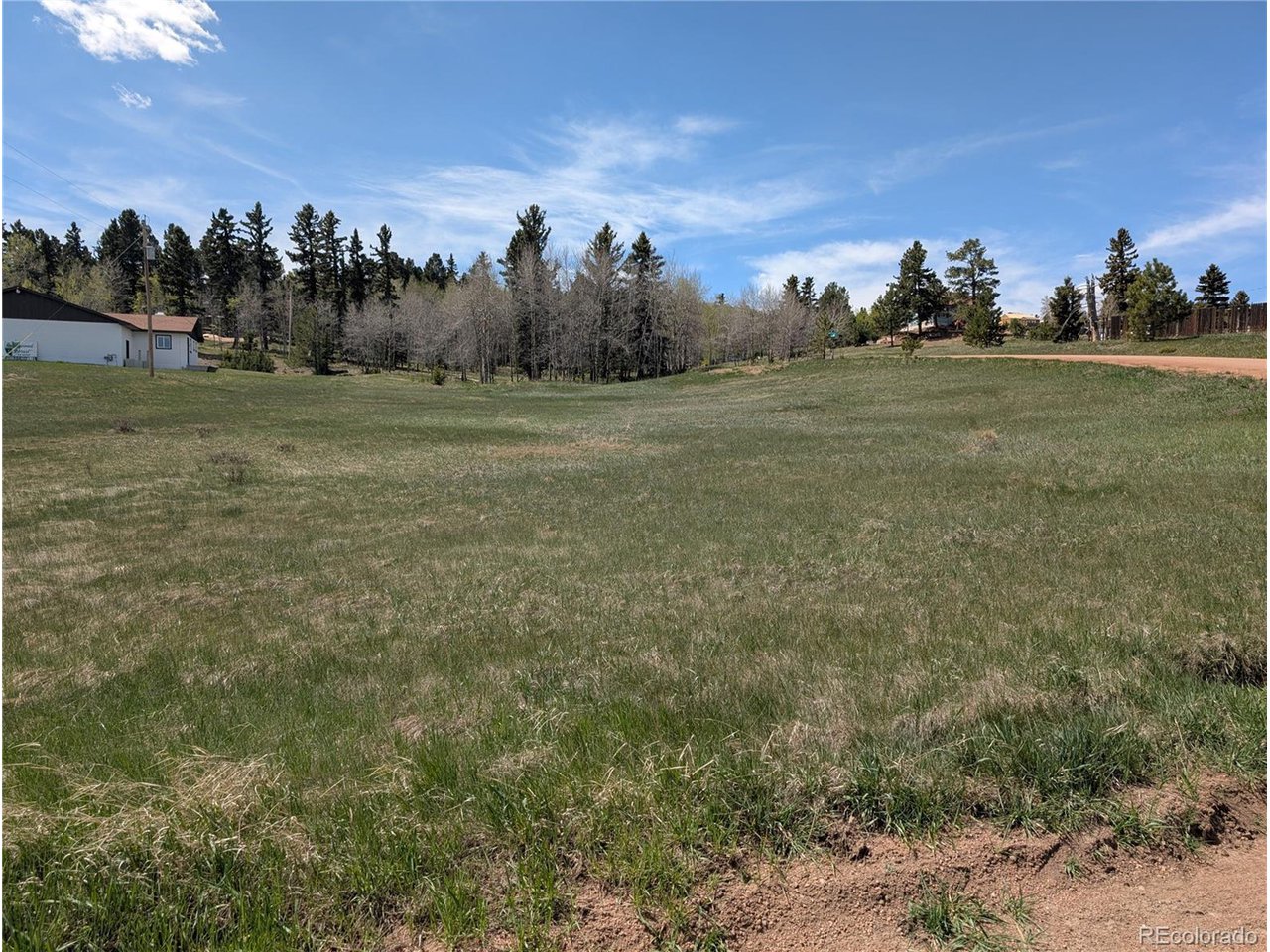 83 Fountain Dale Lane Divide, CO 80814 - Photo 4 of 11 a view of a field with trees in background