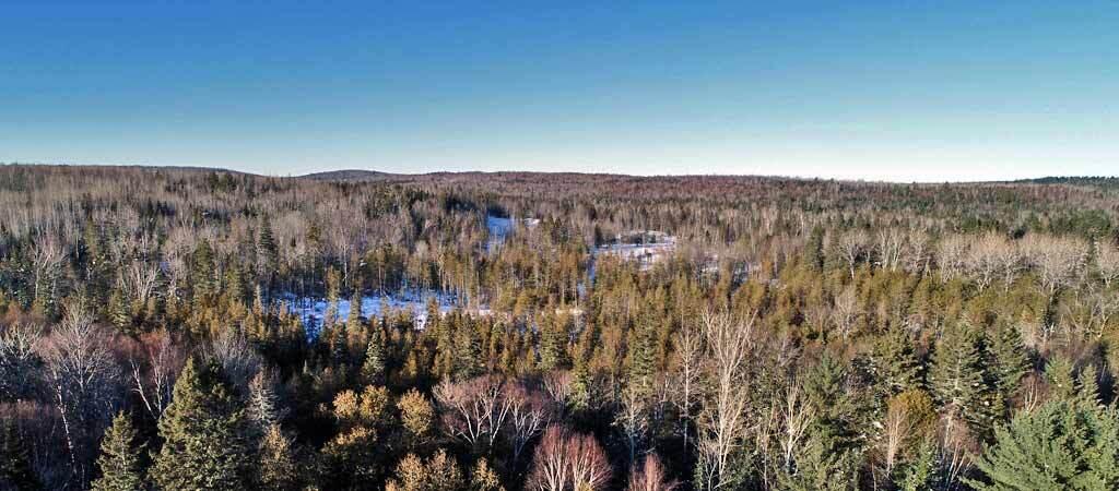 Lot 6 Ludlow Road Houlton, ME 04730 - Photo 9 of 28 land-maine-ludlow-me-10