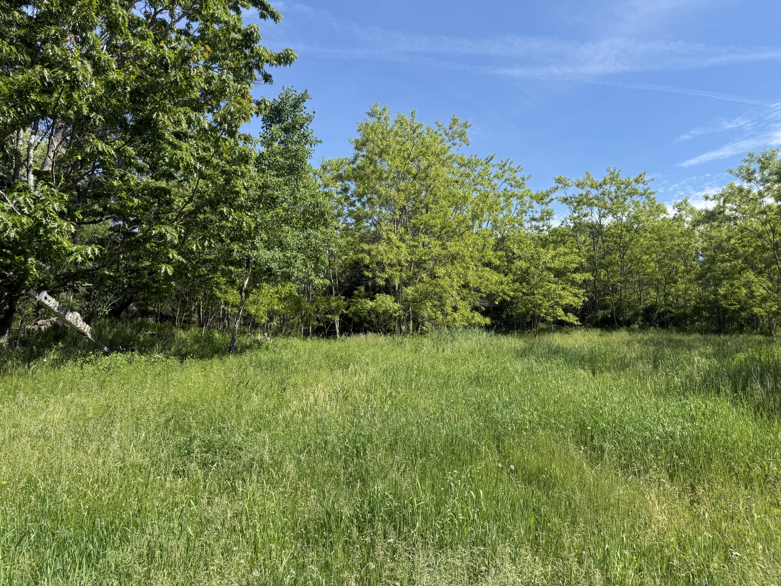 44 Soper Road Orland, ME 04472 - Photo 9 of 20 IMG_2333