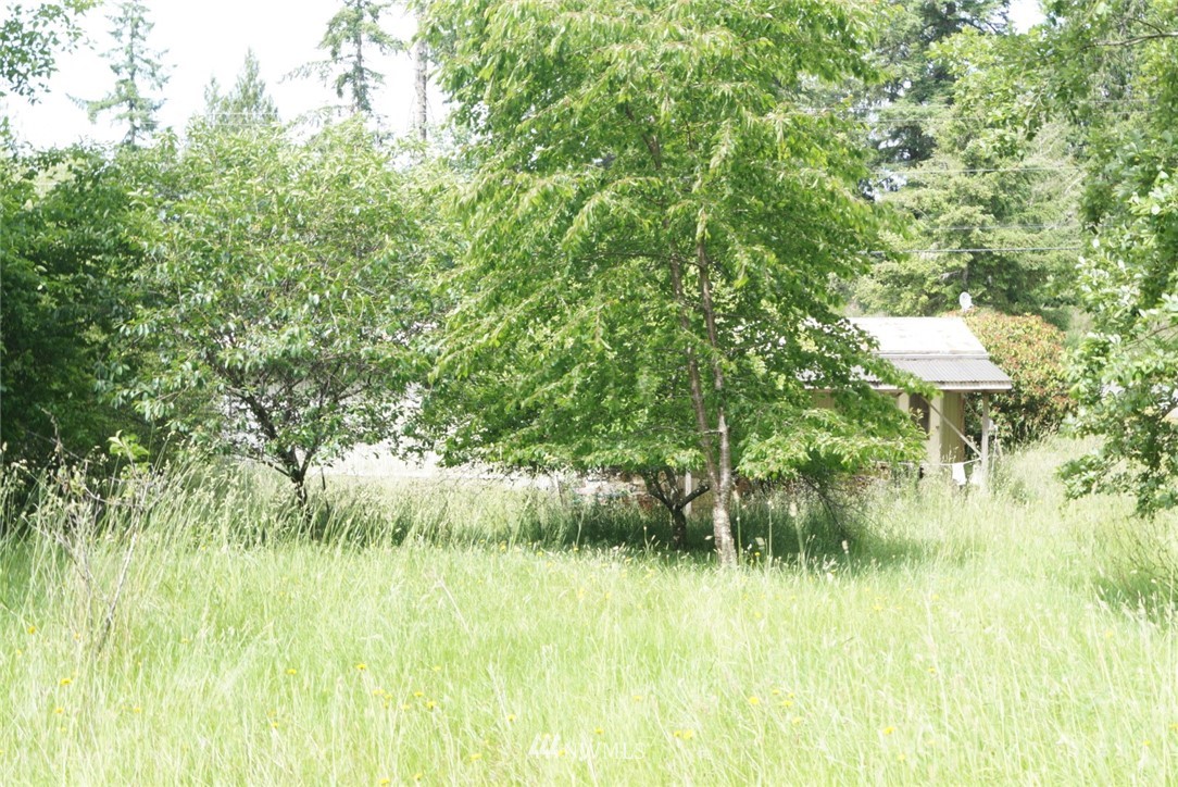 13 Lambert Road Elma, WA 98541 - Photo 6 of 12 Gallery Image 6