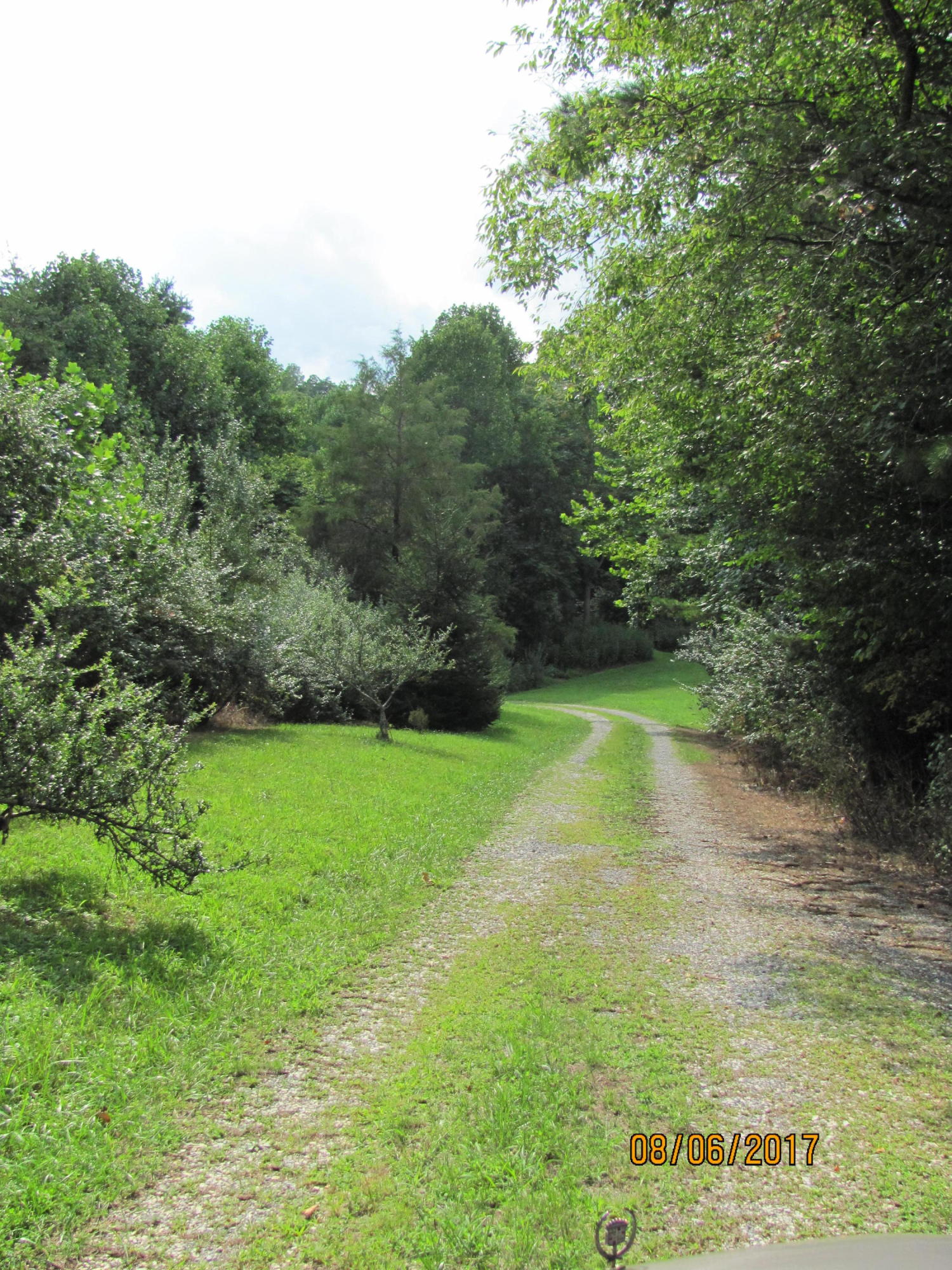 370 Church Hill Road Buchanan, VA 24066 - Photo 25 of 29 Driveway to house