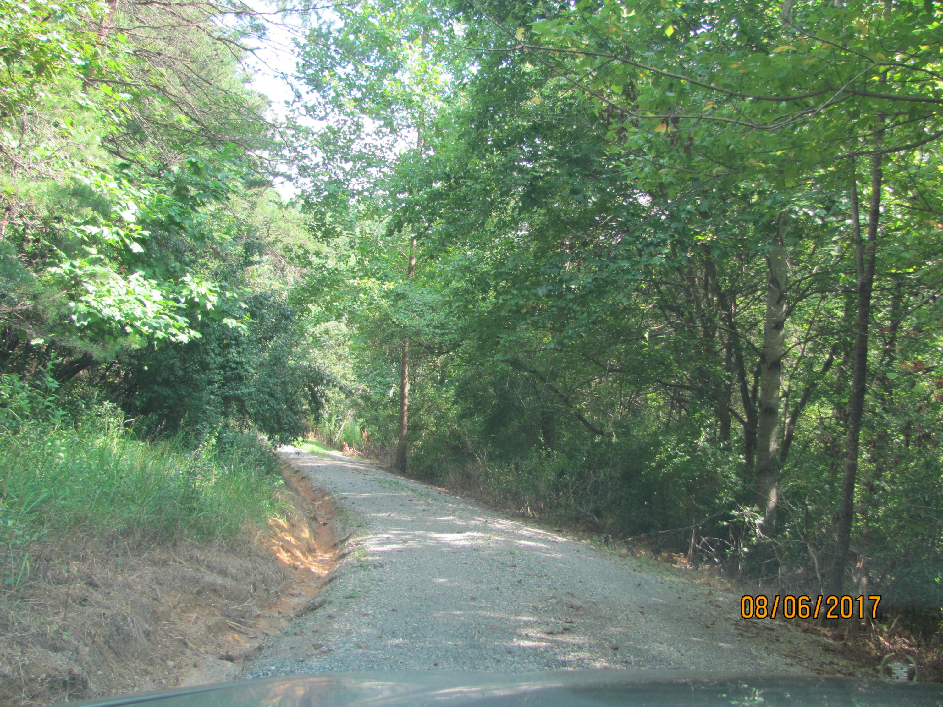 370 Church Hill Road Buchanan, VA 24066 - Photo 27 of 29 Road leading to driveway