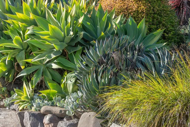 $1,899,000 | 1923 Yolo Avenue, Berkeley, CA 94707