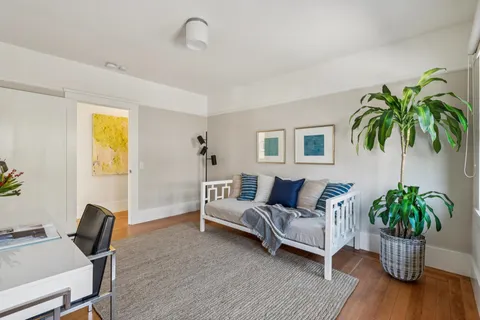 a living room with furniture and a potted plant