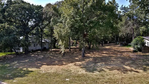 a view of a tree in the middle of a yard
