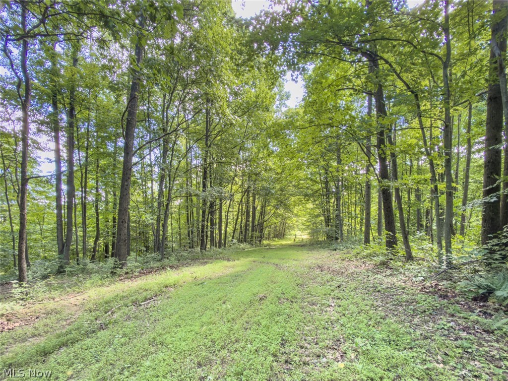6985 Brush Run Road Cambridge, OH 43725 - Photo 25 of 50