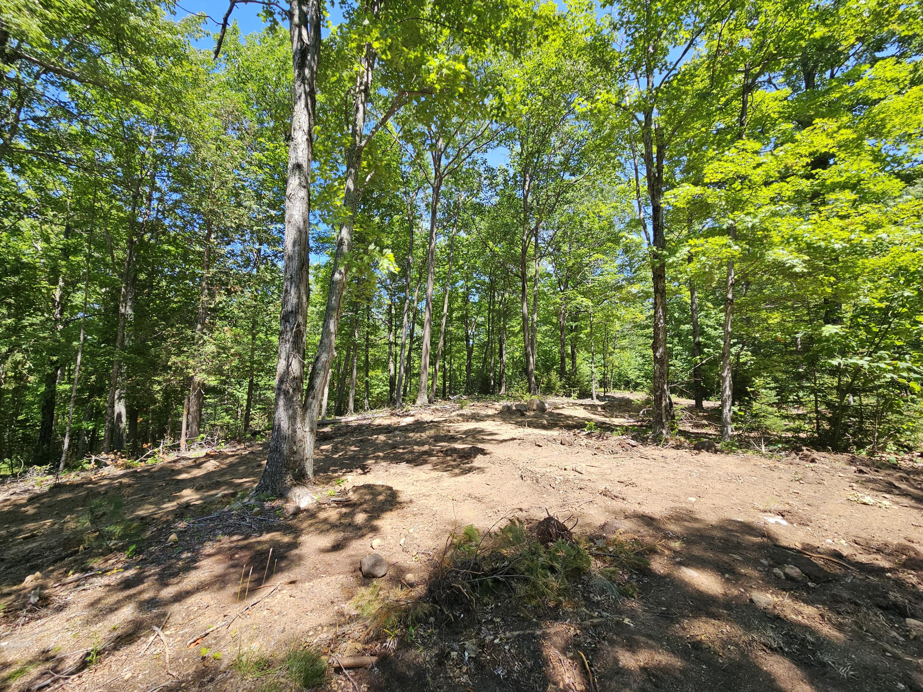 106 Maple Rdg Way Keene, NY 12942 - Photo 6 of 13