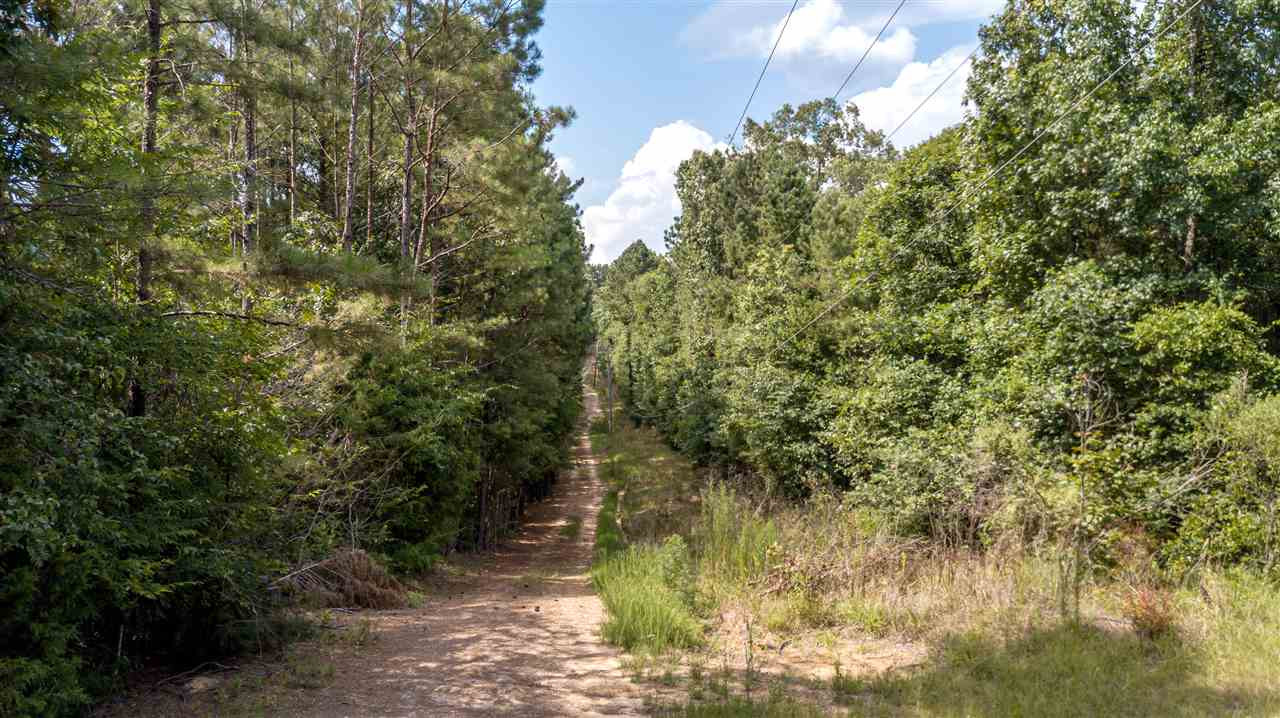 0 Moses Road Raymond, MS 39154 - Photo 16 of 23 Photo 16