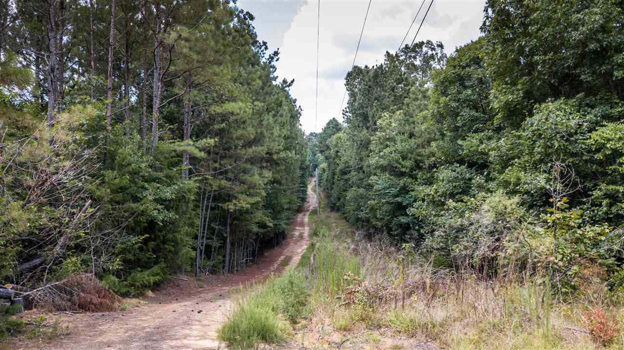 0 Moses Road Raymond, MS 39154 - Photo 23 of 23 Photo 23