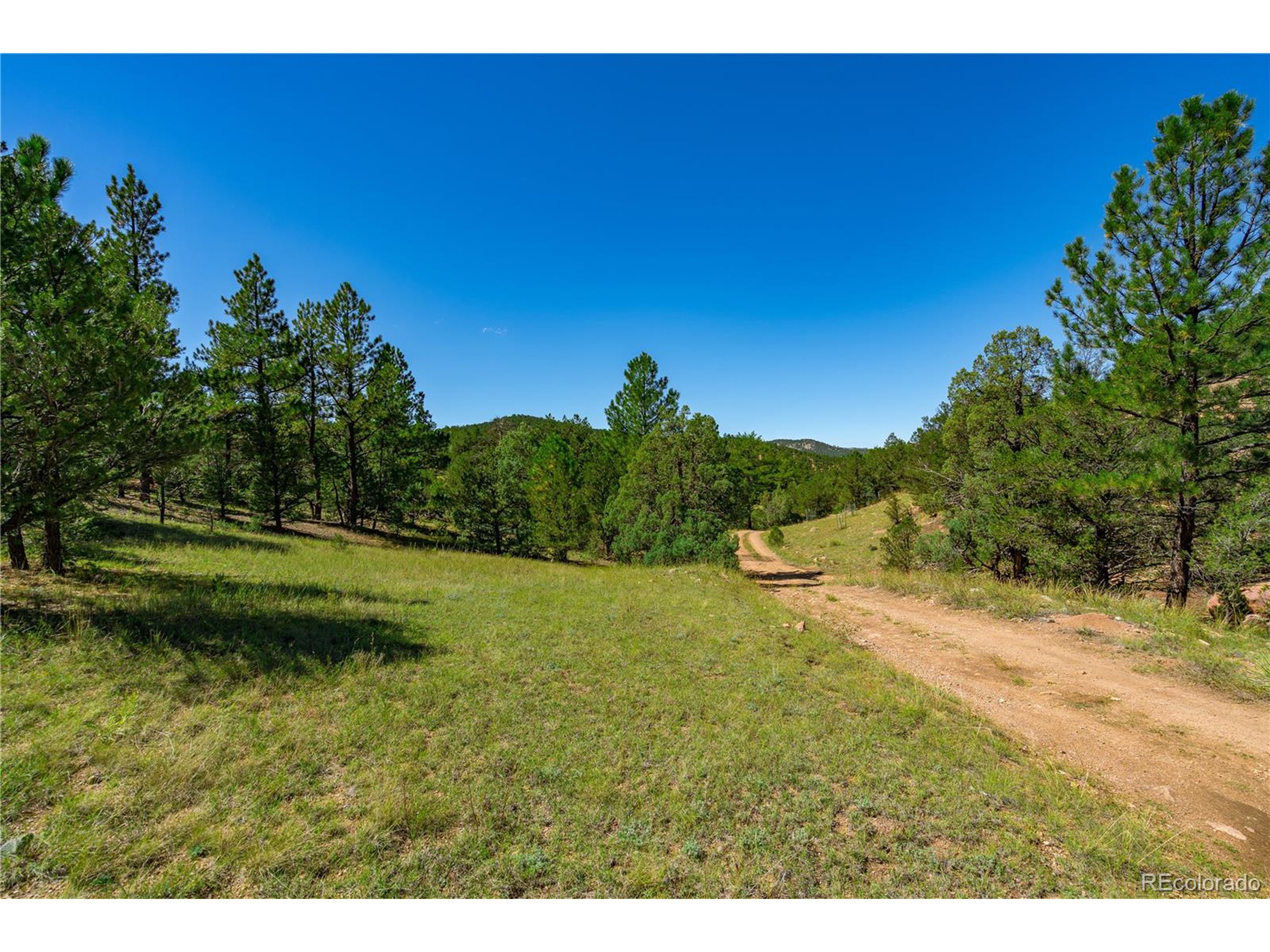9 Sundance Road Cotopaxi, CO 81223 - Photo 13 of 32 a view of a yard with a tree