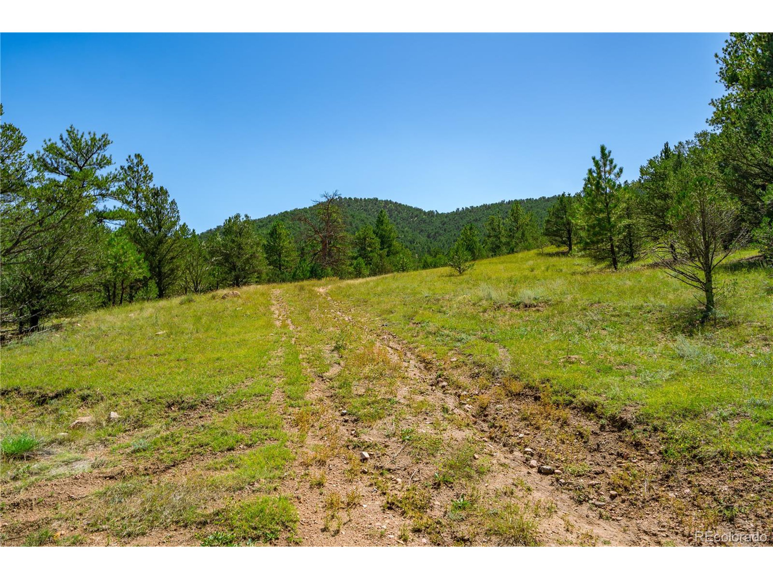 9 Sundance Road Cotopaxi, CO 81223 - Photo 15 of 32 a view of an outdoor space and a yard