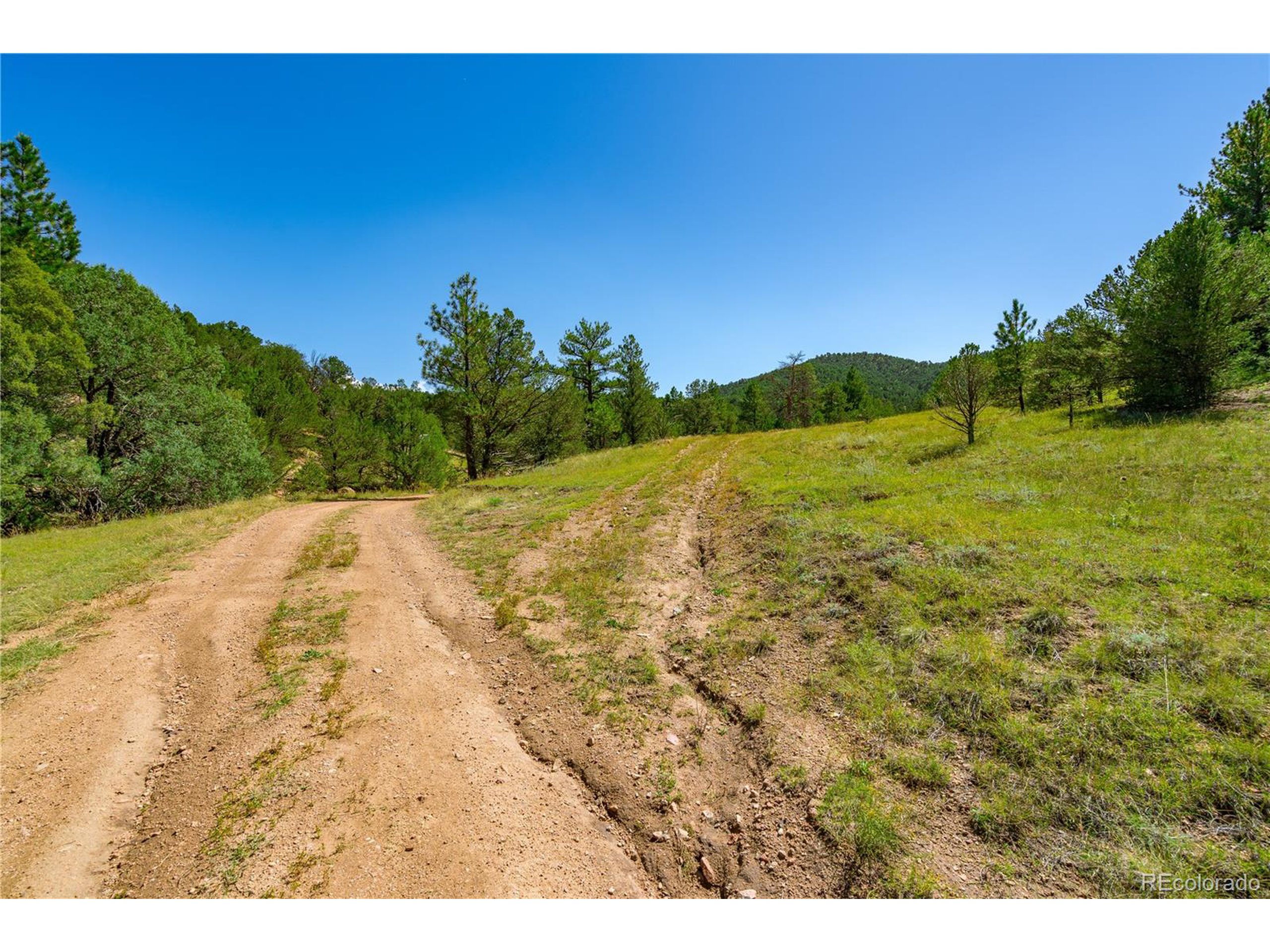 9 Sundance Road Cotopaxi, CO 81223 - Photo 16 of 32 a view of a yard with an trees