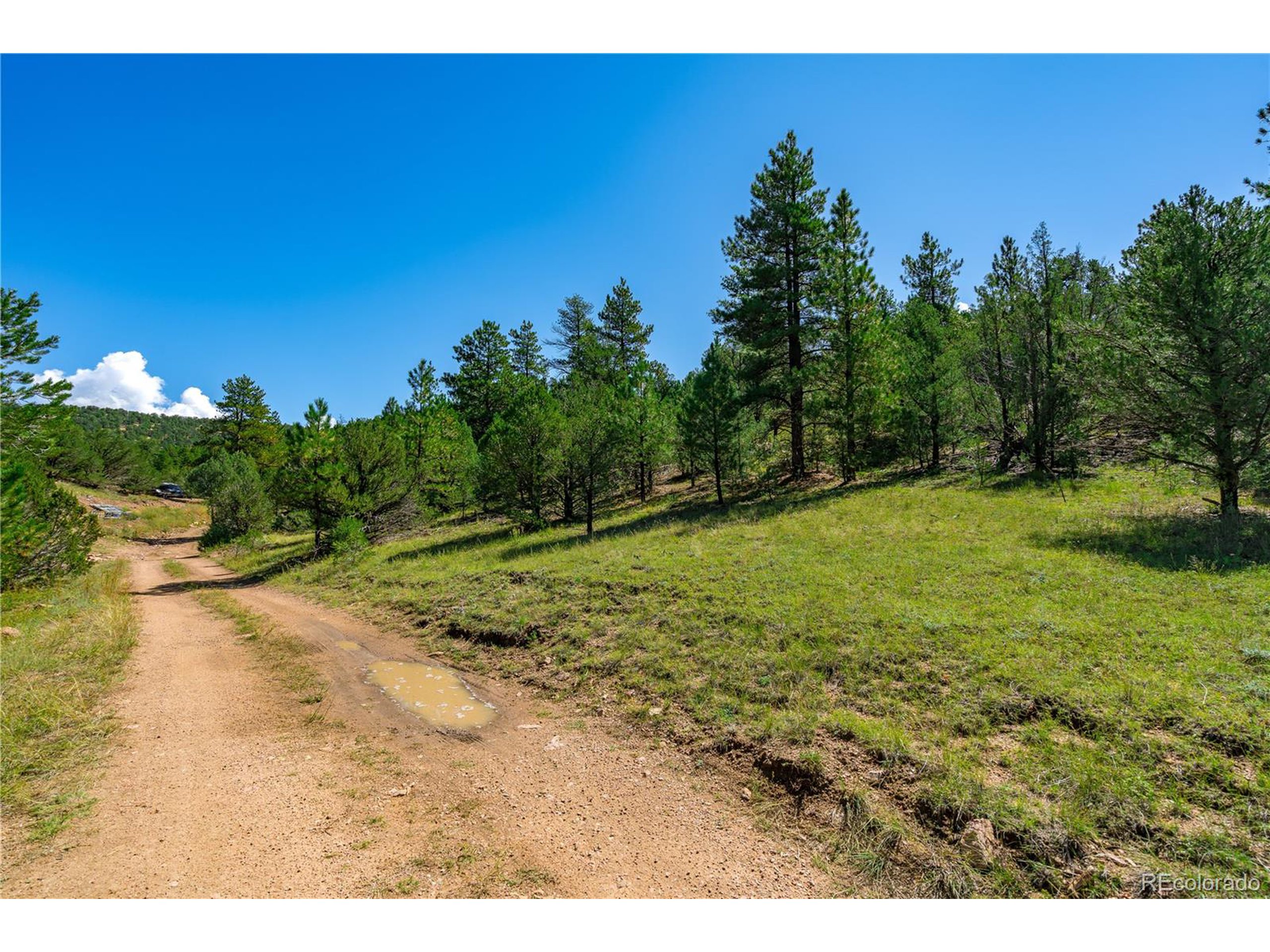9 Sundance Road Cotopaxi, CO 81223 - Photo 19 of 32 a view of a yard with a tree