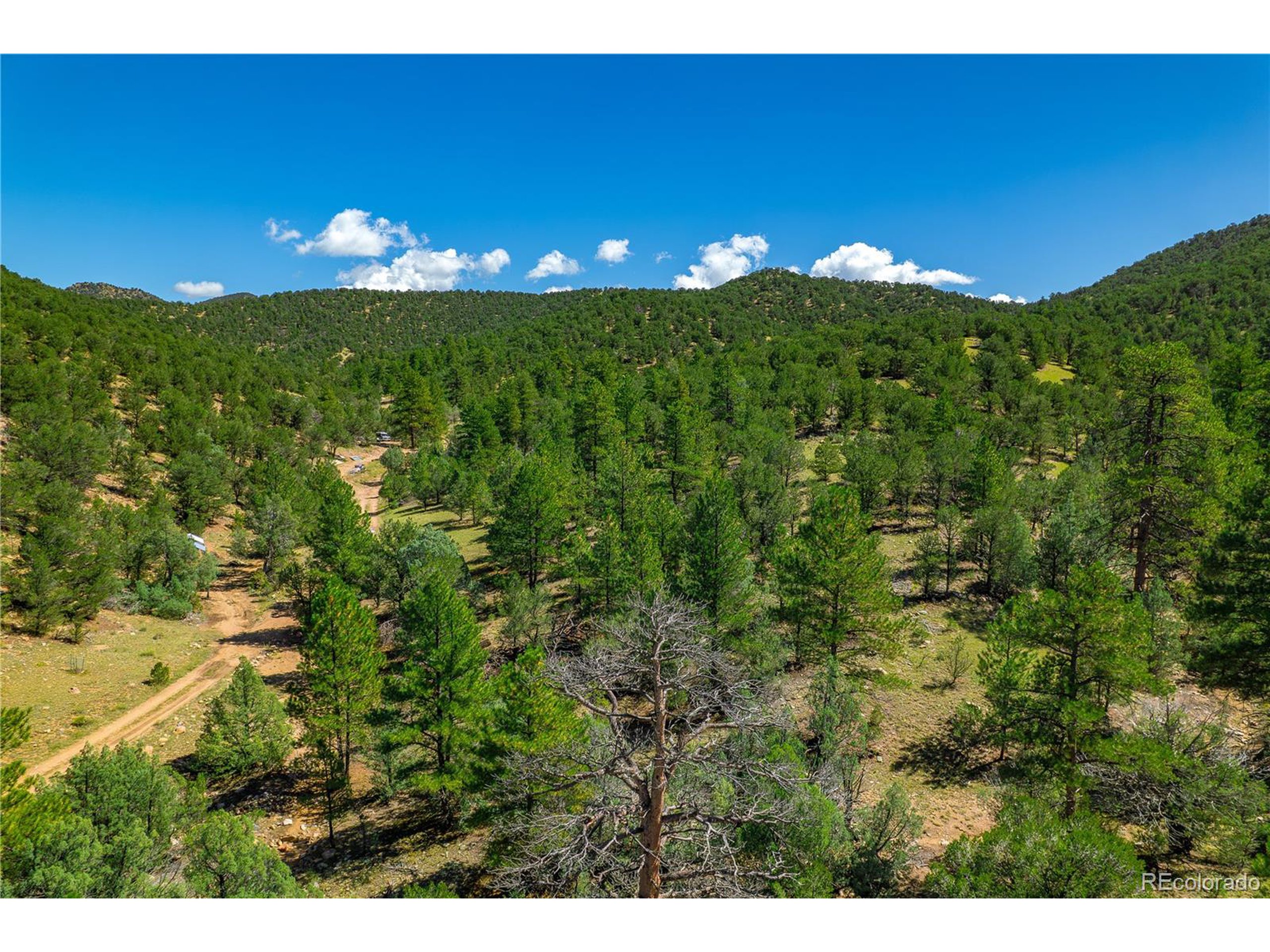 9 Sundance Road Cotopaxi, CO 81223 - Photo 28 of 32