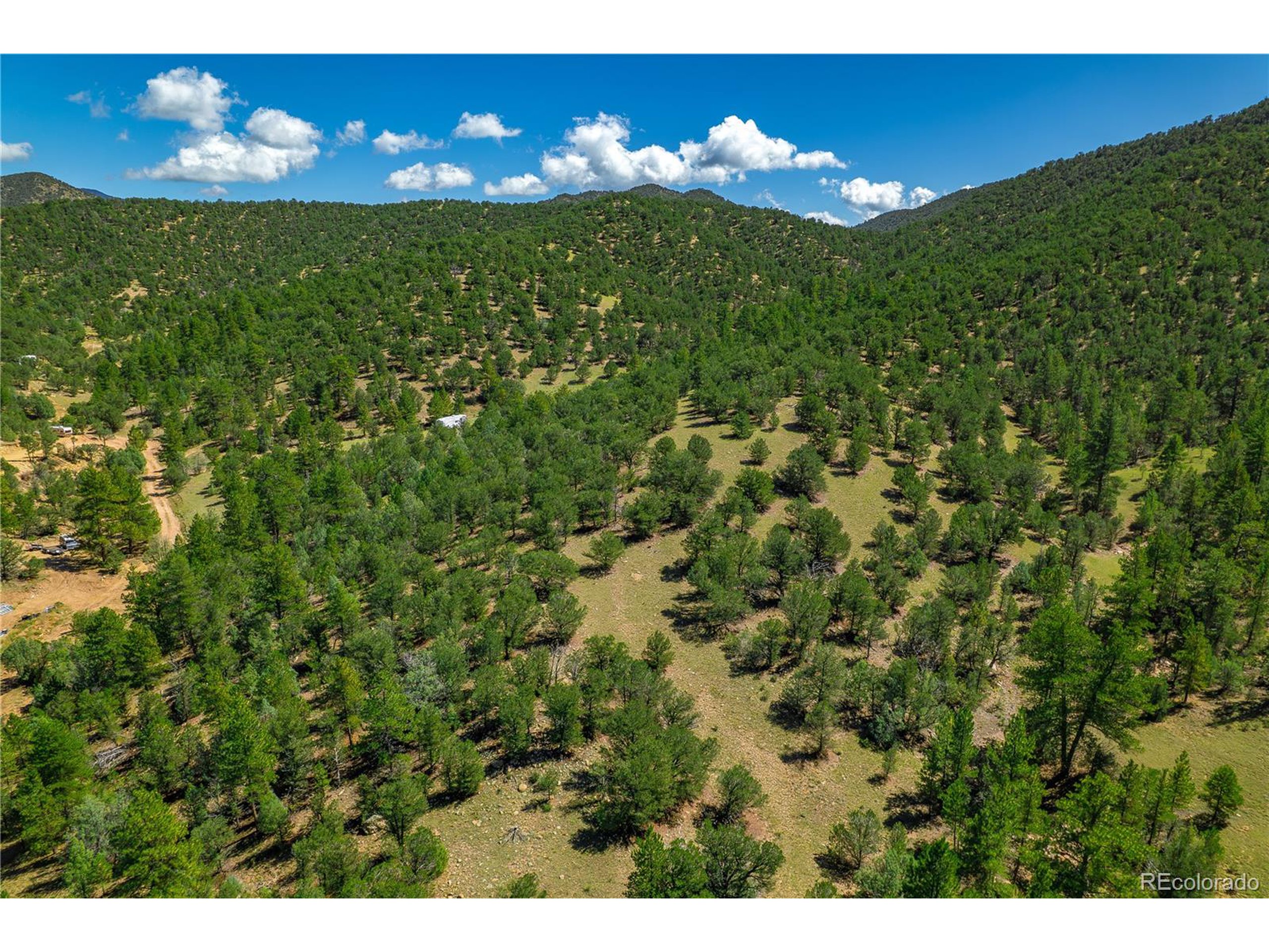 9 Sundance Road Cotopaxi, CO 81223 - Photo 29 of 32 a view of a big yard