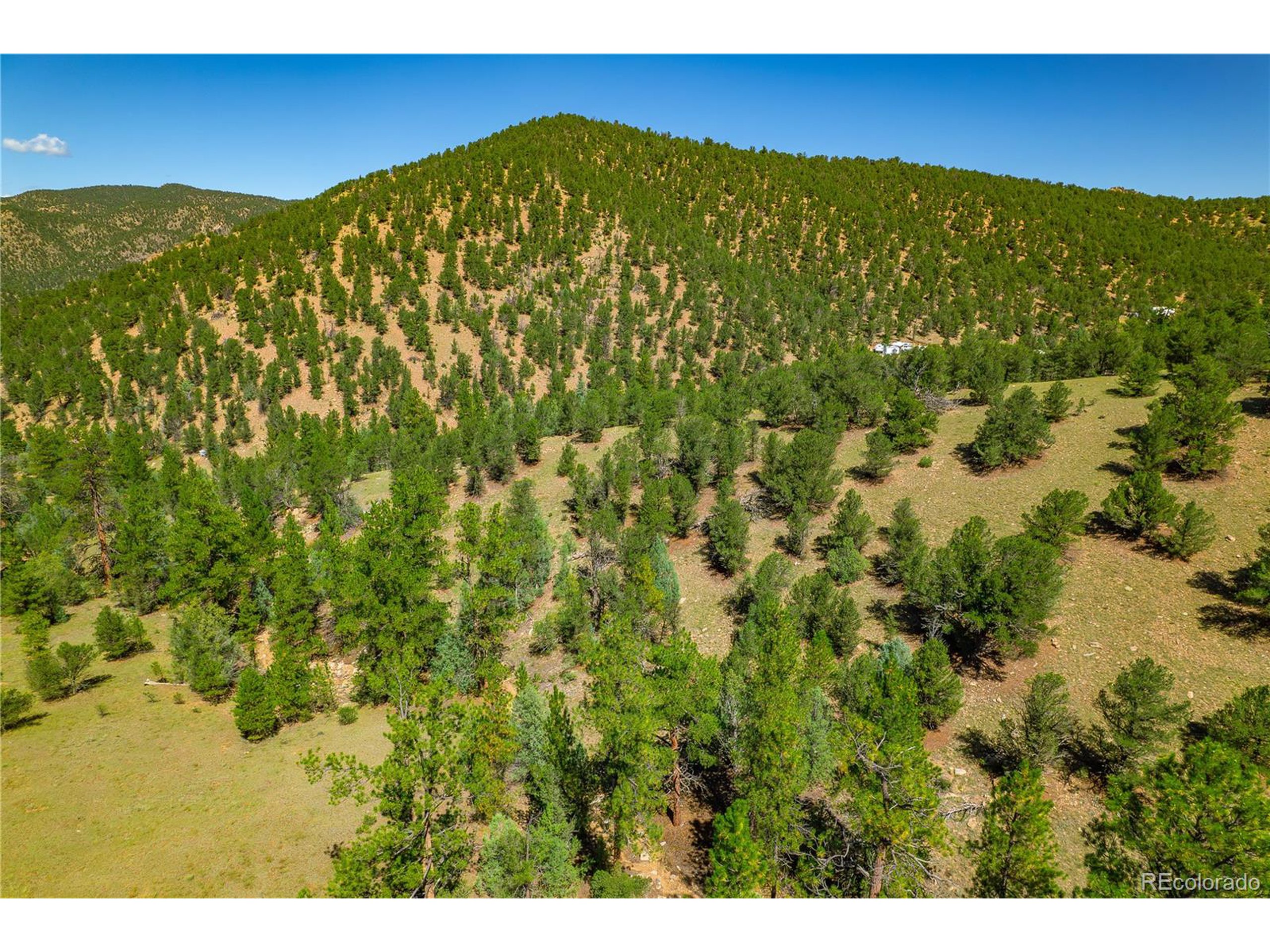 9 Sundance Road Cotopaxi, CO 81223 - Photo 30 of 32 a view of an aerial view of residential houses with outdoor space and trees