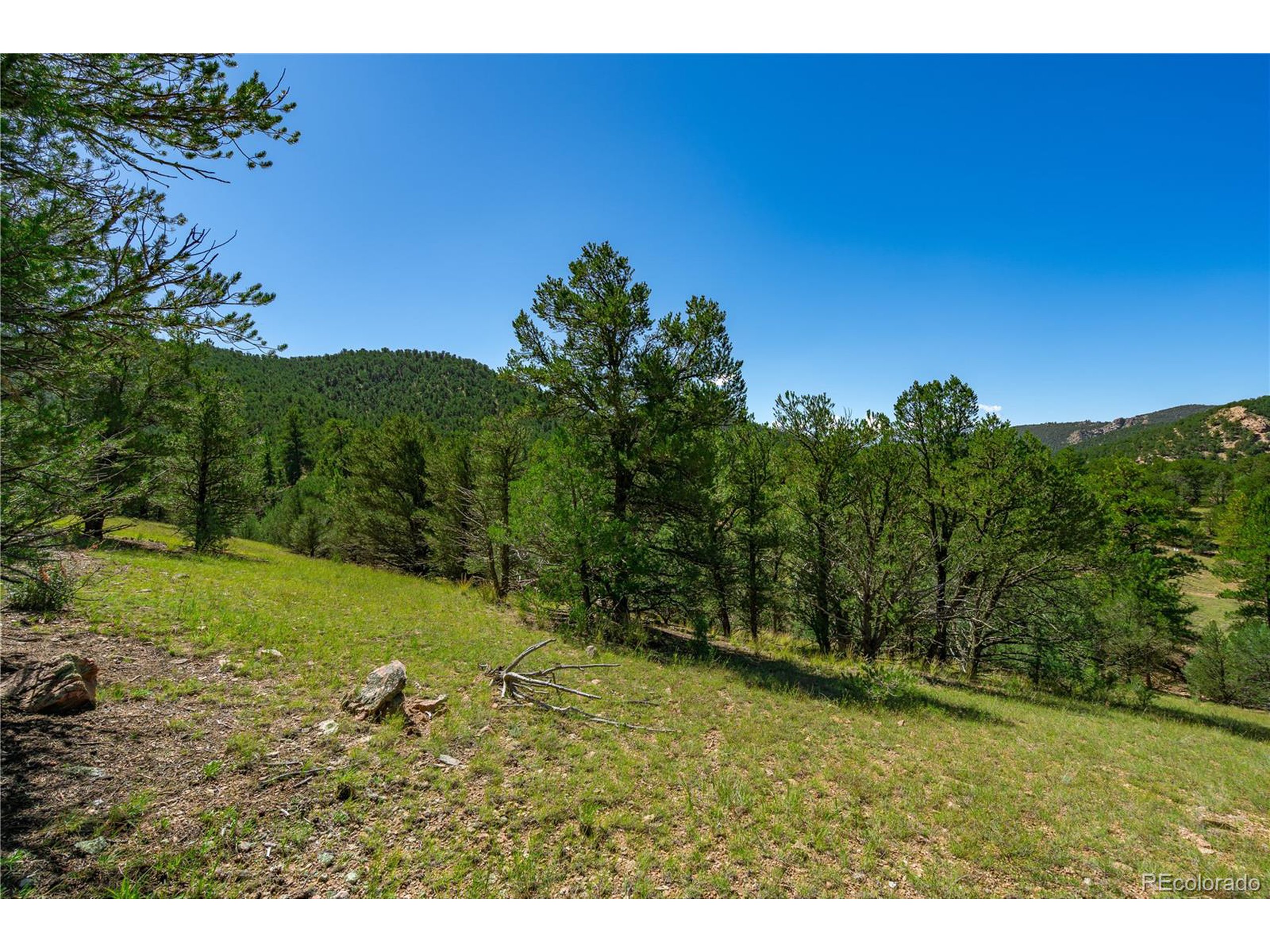 9 Sundance Road Cotopaxi, CO 81223 - Photo 3 of 32 a view of a yard