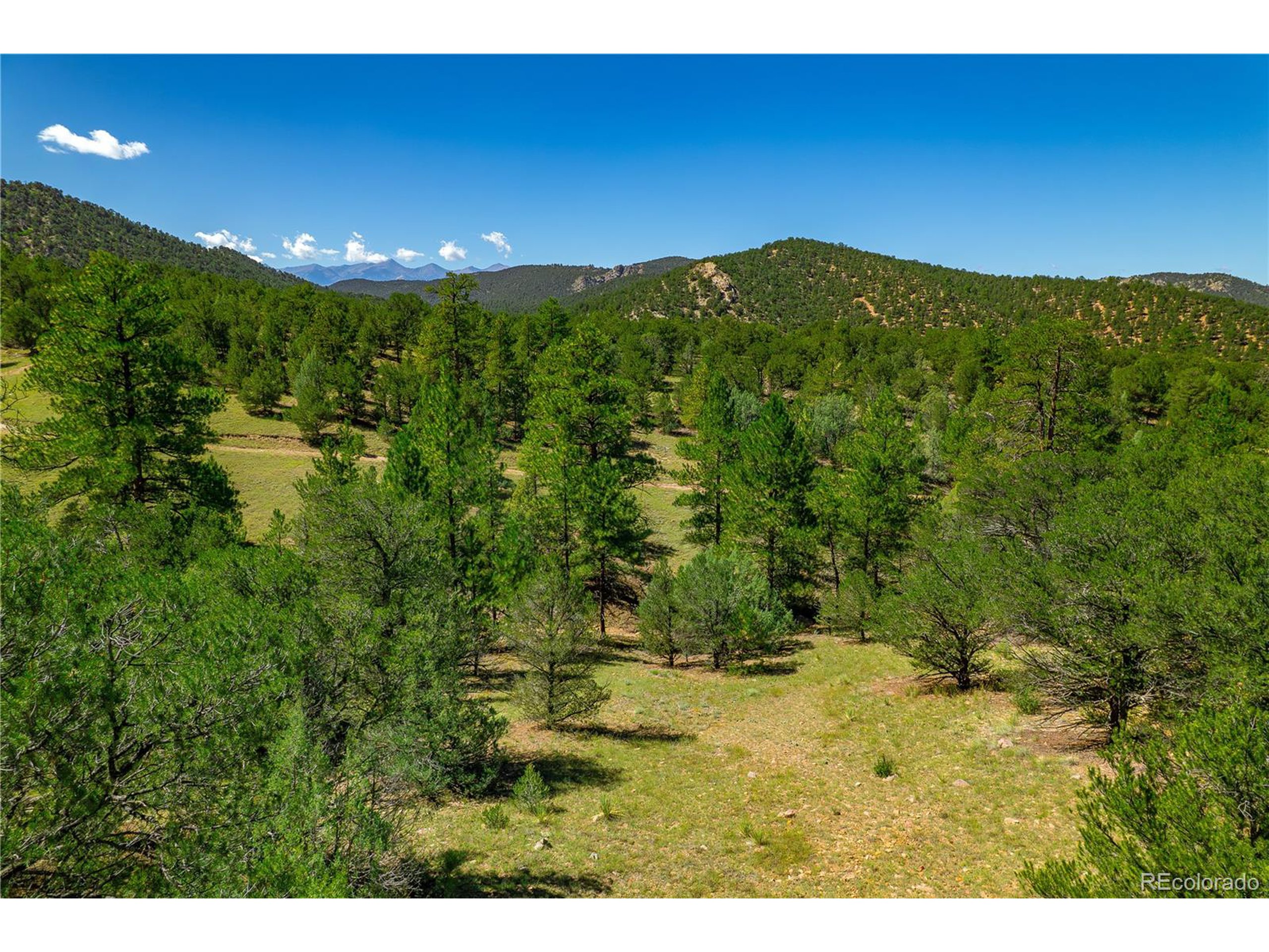 9 Sundance Road Cotopaxi, CO 81223 - Photo 31 of 32 a view of an green yard