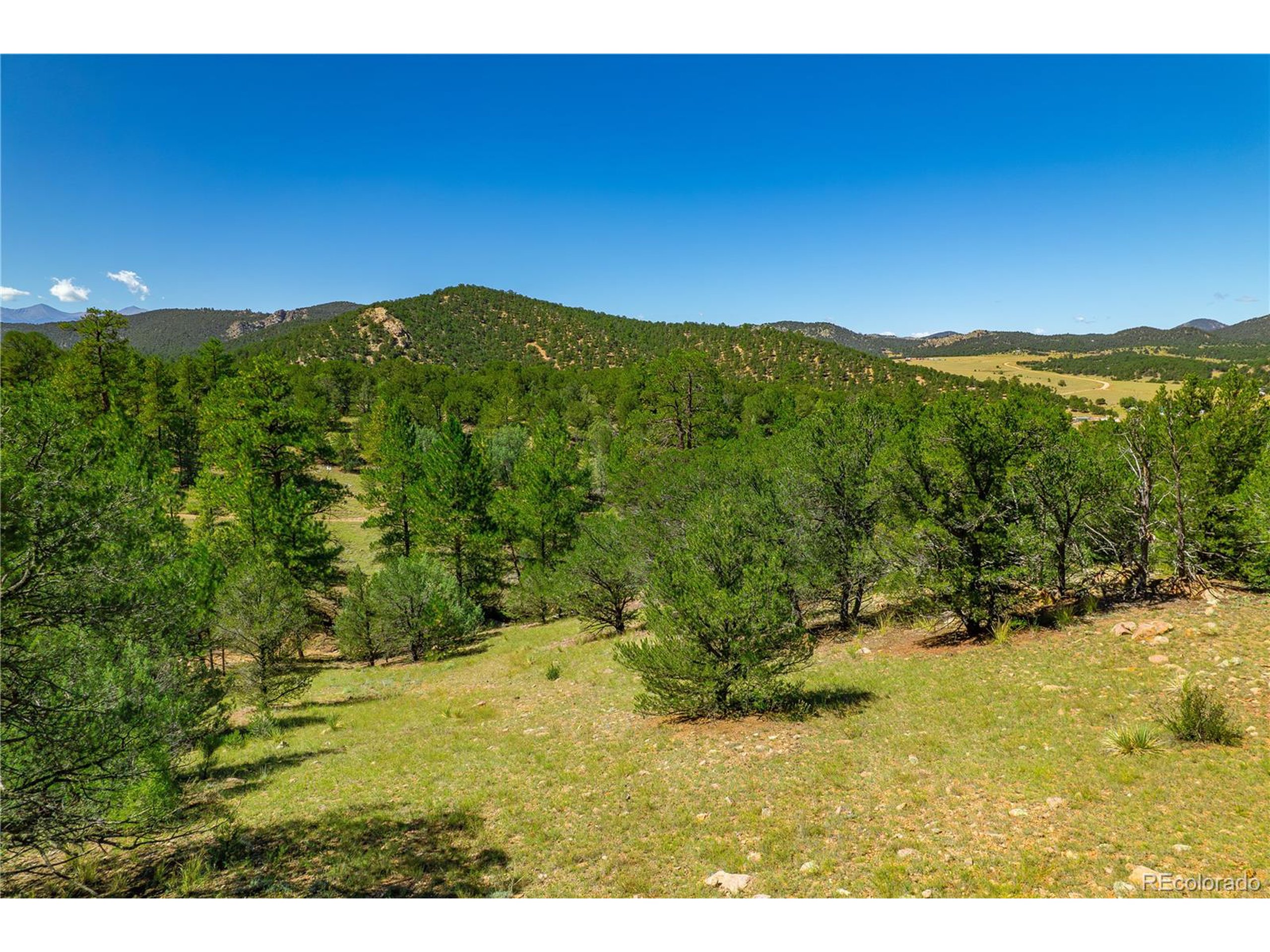 9 Sundance Road Cotopaxi, CO 81223 - Photo 32 of 32 a view of a yard with a mountain