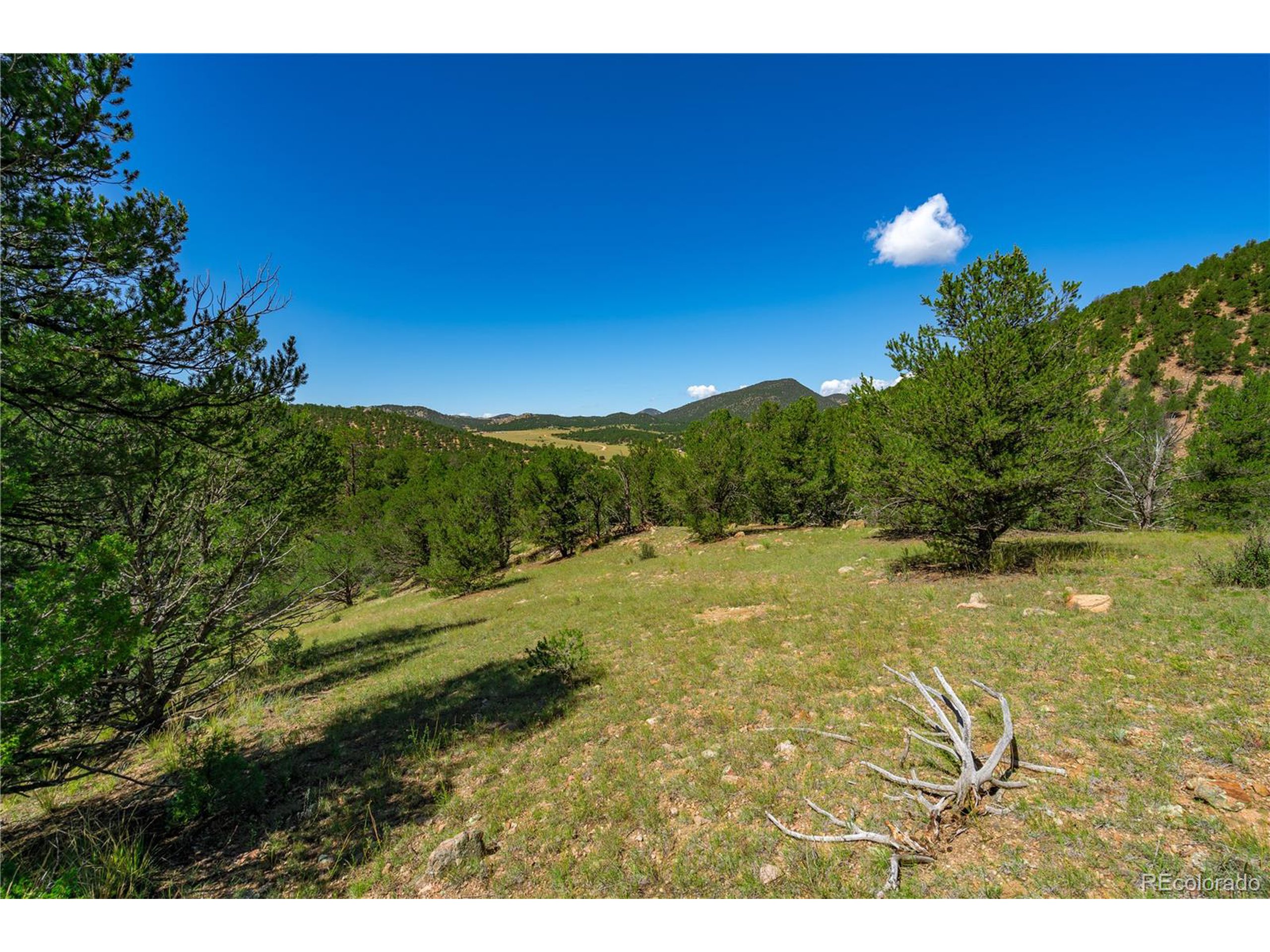 9 Sundance Road Cotopaxi, CO 81223 - Photo 4 of 32 a view of a yard