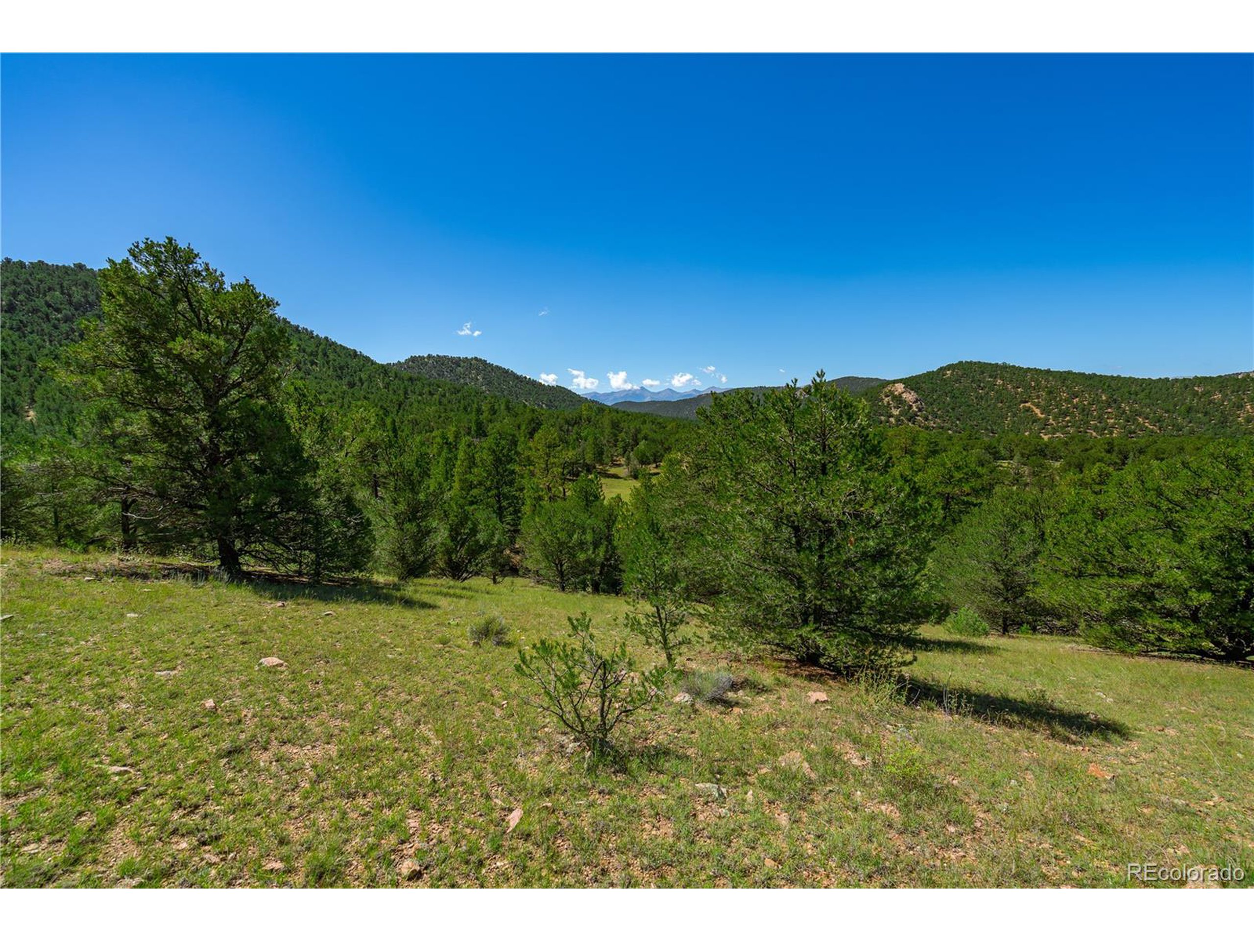 9 Sundance Road Cotopaxi, CO 81223 - Photo 5 of 32 a view of an outdoor space and a yard
