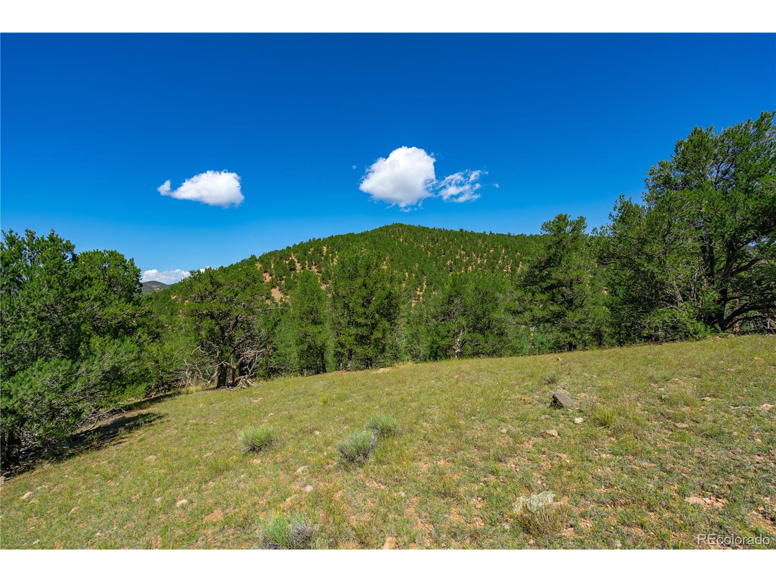 9 Sundance Road Cotopaxi, CO 81223 - Photo 6 of 32 a view of a big yard