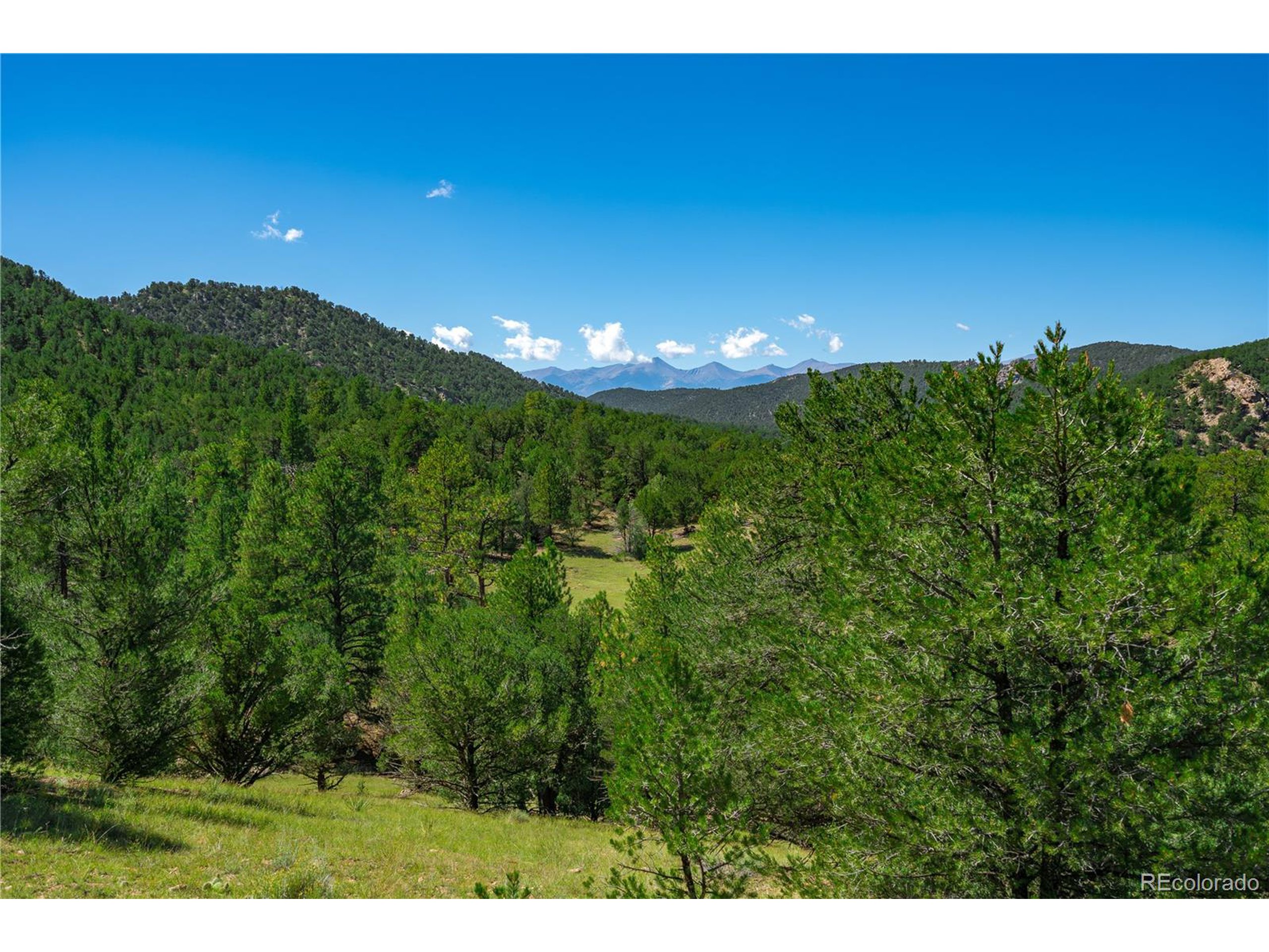 9 Sundance Road Cotopaxi, CO 81223 - Photo 7 of 32 a view of a yard of a building
