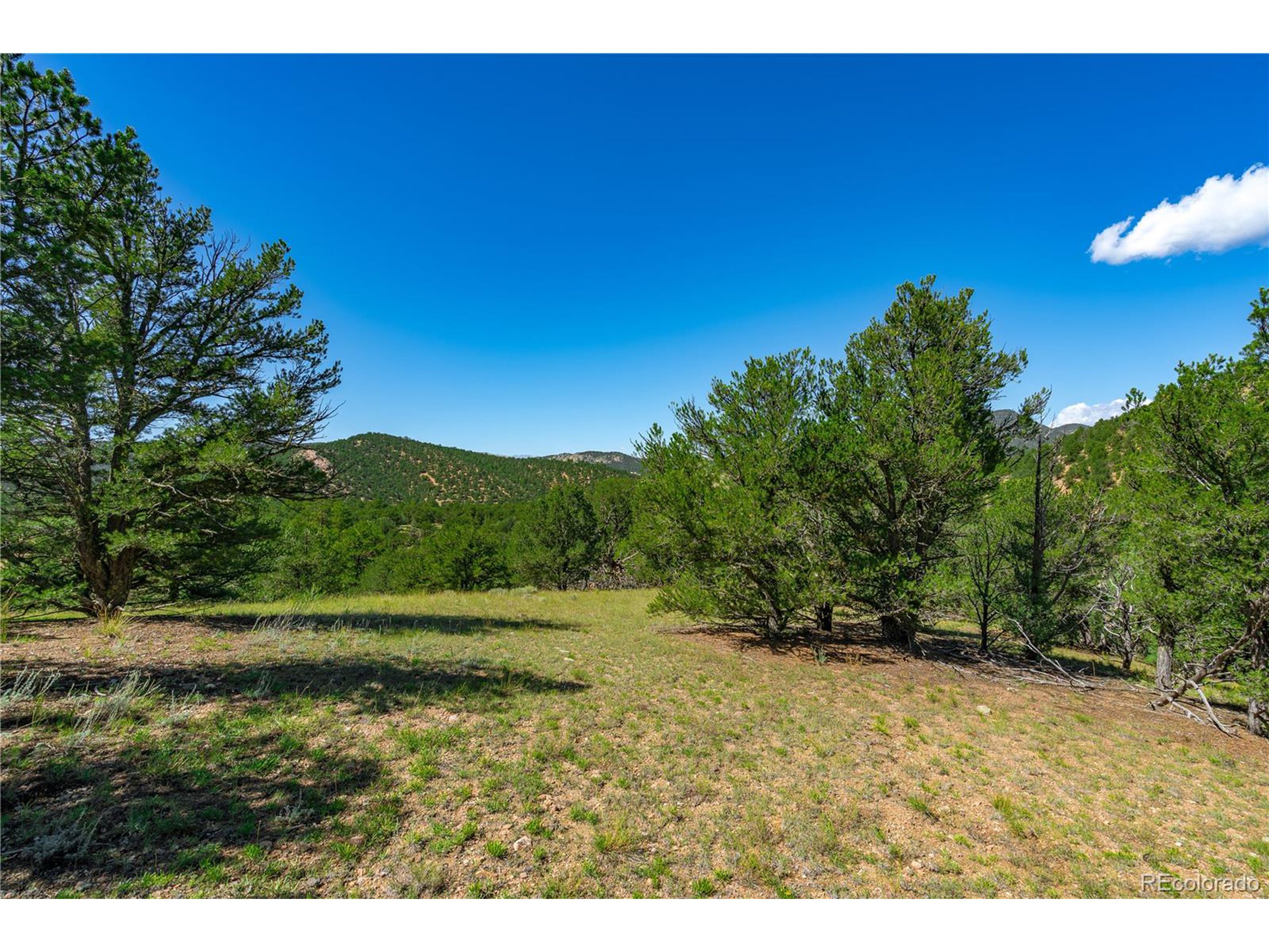 9 Sundance Road Cotopaxi, CO 81223 - Photo 9 of 32 a view of outdoor space with mountain view