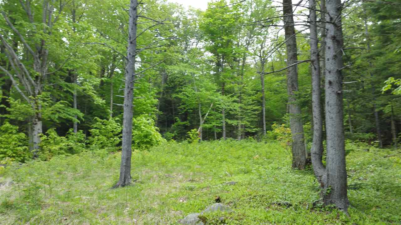 1255 Bailey Hill Road Readsboro, VT 05350 - Photo 3 of 5