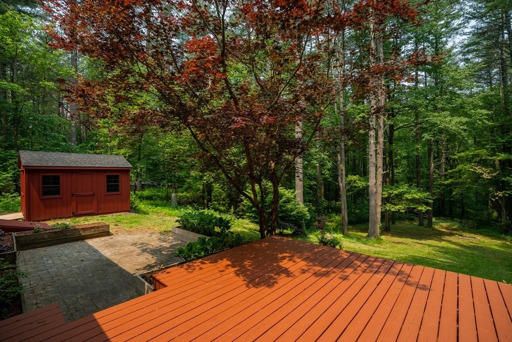 80 Goodell Street Belchertown, MA 01007 - Photo 5 of 40 a view of backyard with a patio and plants