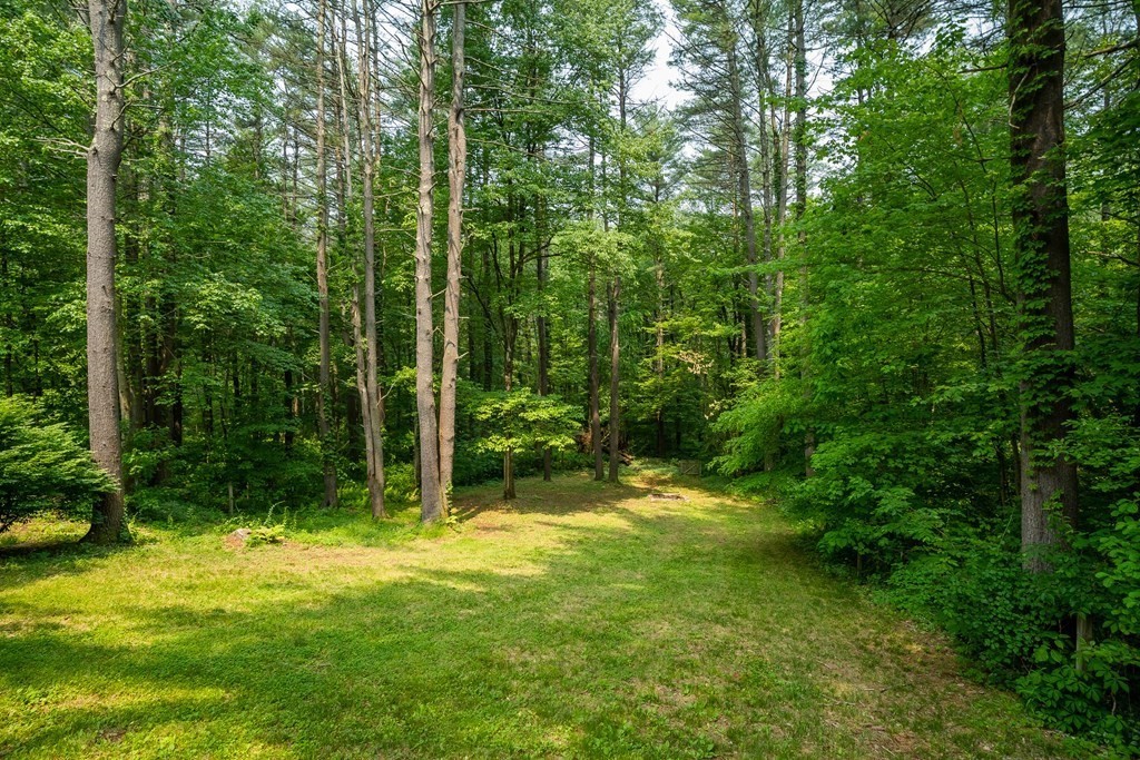 80 Goodell Street Belchertown, MA 01007 - Photo 10 of 40 a view of outdoor space and yard