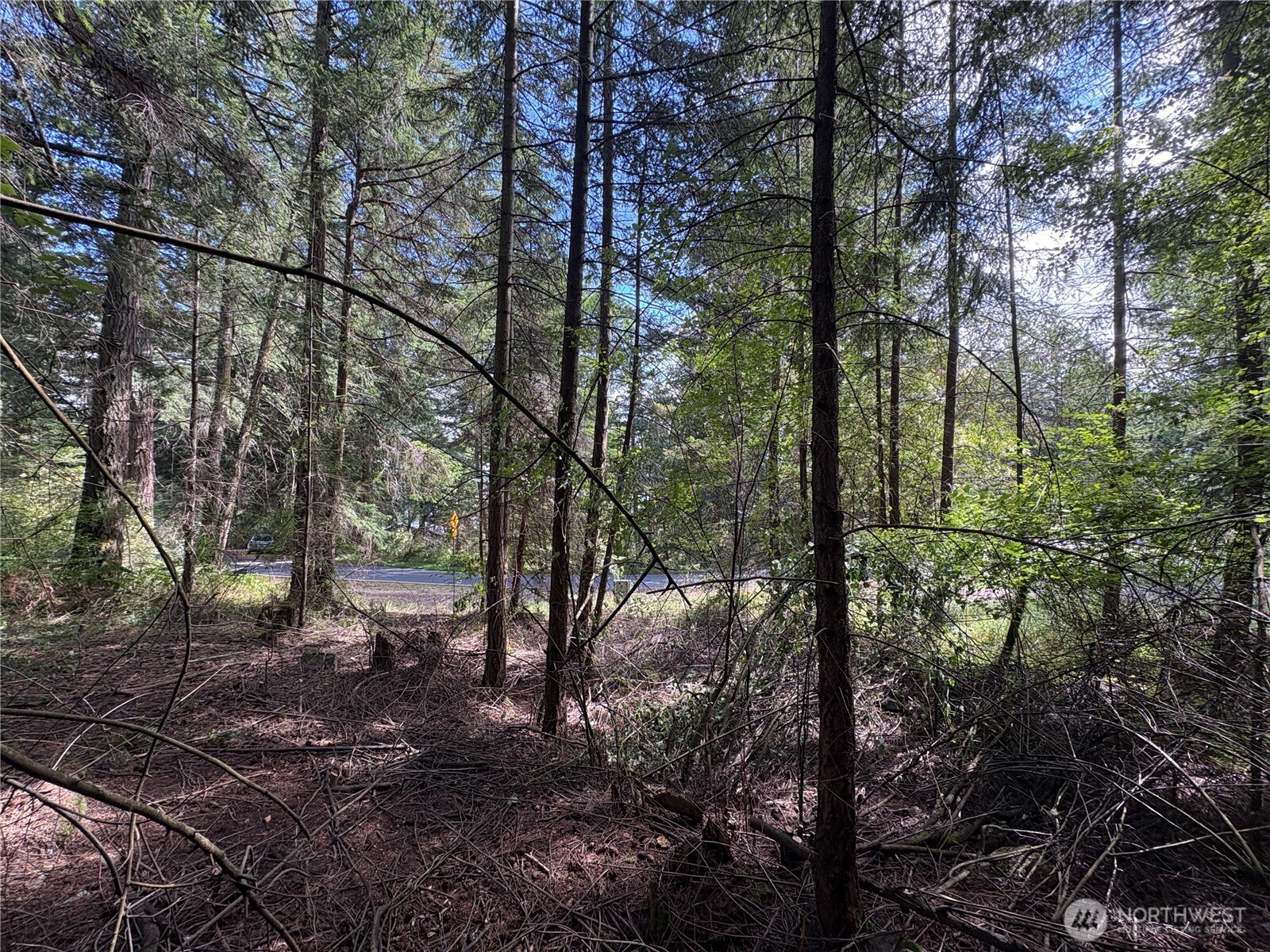 14 Rosario Road Orcas Island, WA 98245 - Photo 37 of 39