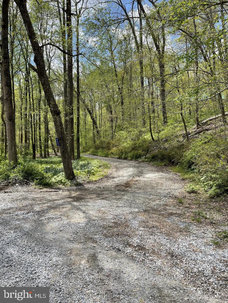 627 Hollow Road Delta, PA 17314 - Photo 37 of 38 Gallery Image 37