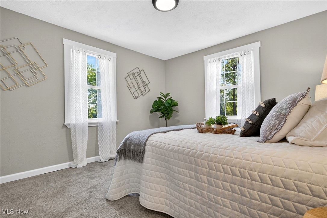 8230 Drake State Line Road Masury, OH 44438 - Photo 41 of 47 Bedroom featuring light carpet and baseboards