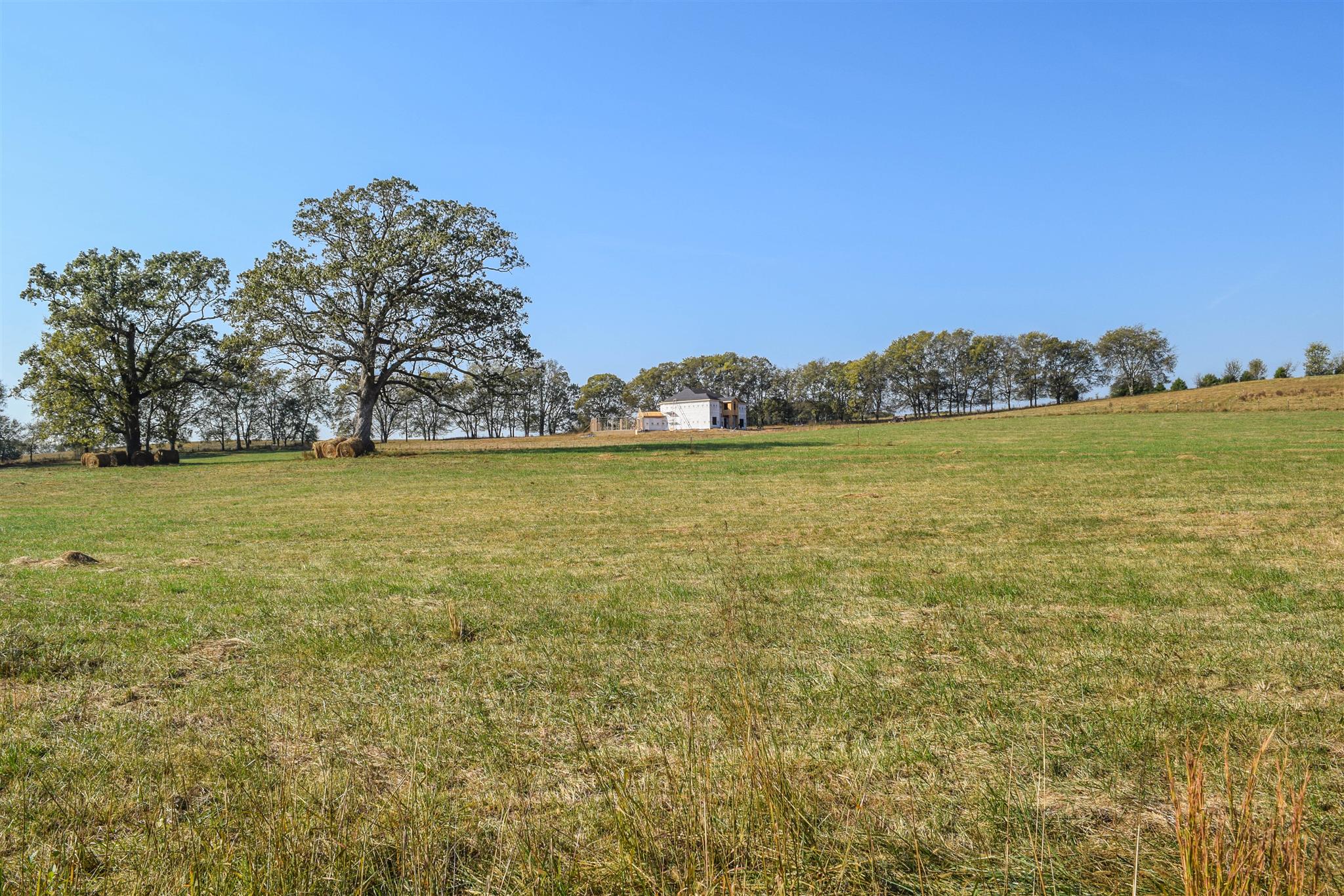 1009 B Franklin Road Gallatin, TN 37066 - Photo 3 of 16 Gallery Image 3